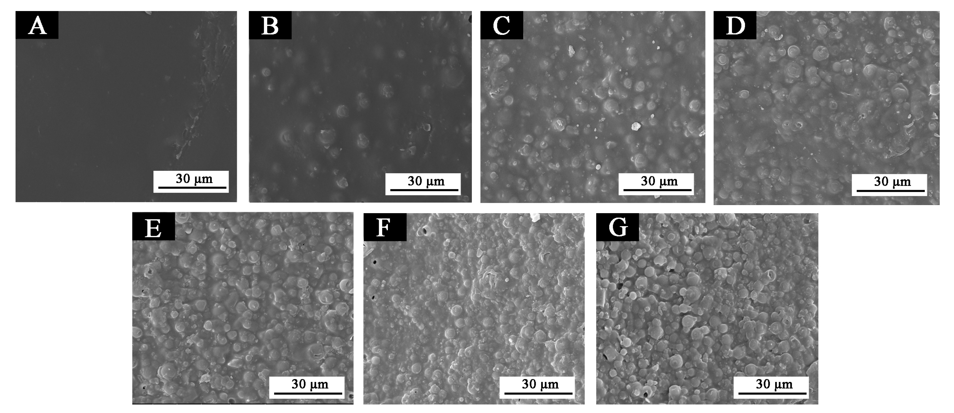 Polymers 12 02062 g013