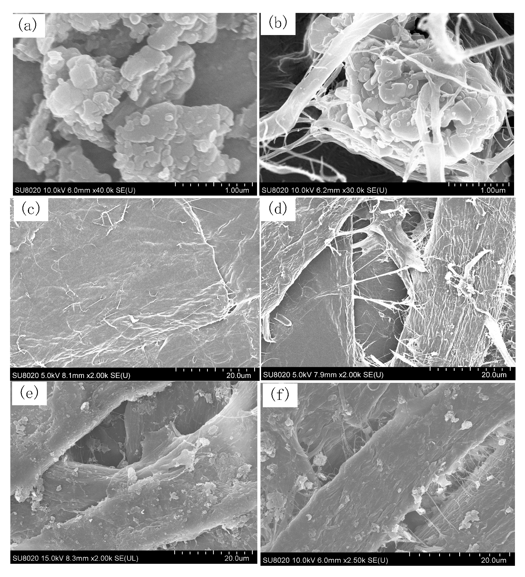 Polymers Free Full Text Dielectric And Thermal Conductivity Characteristics Of Epoxy Resin Impregnated H Bn Cnf Modified Insulating Paper Html