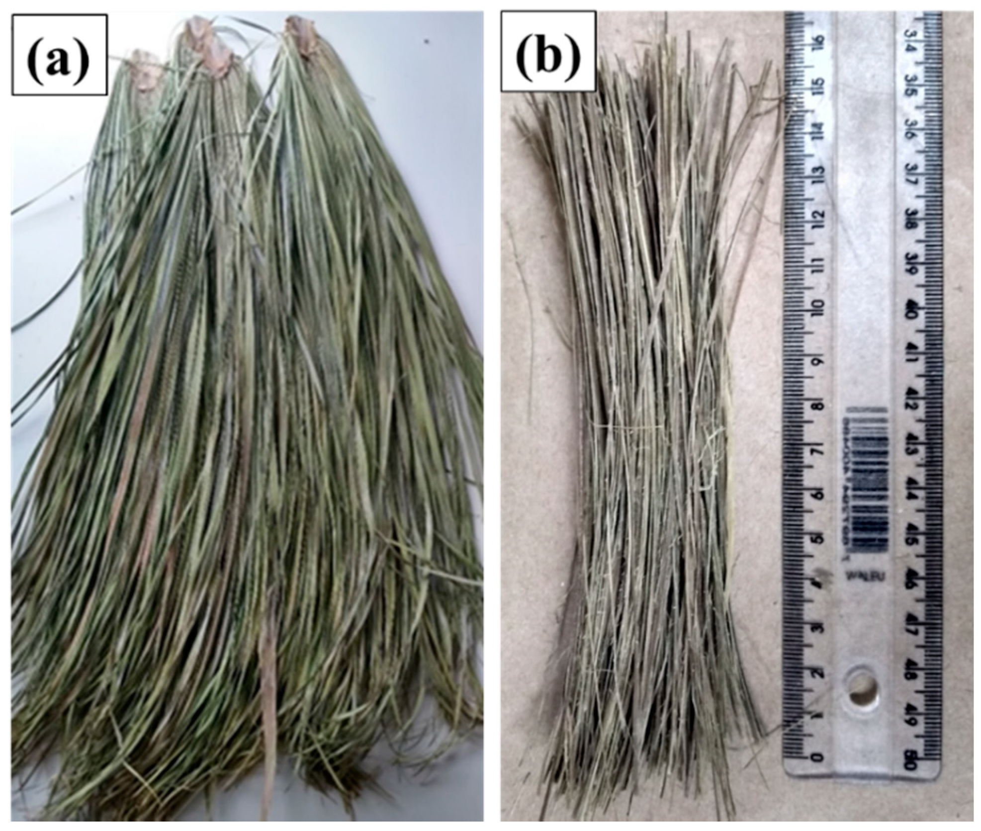 Polymers 12 02090 g002