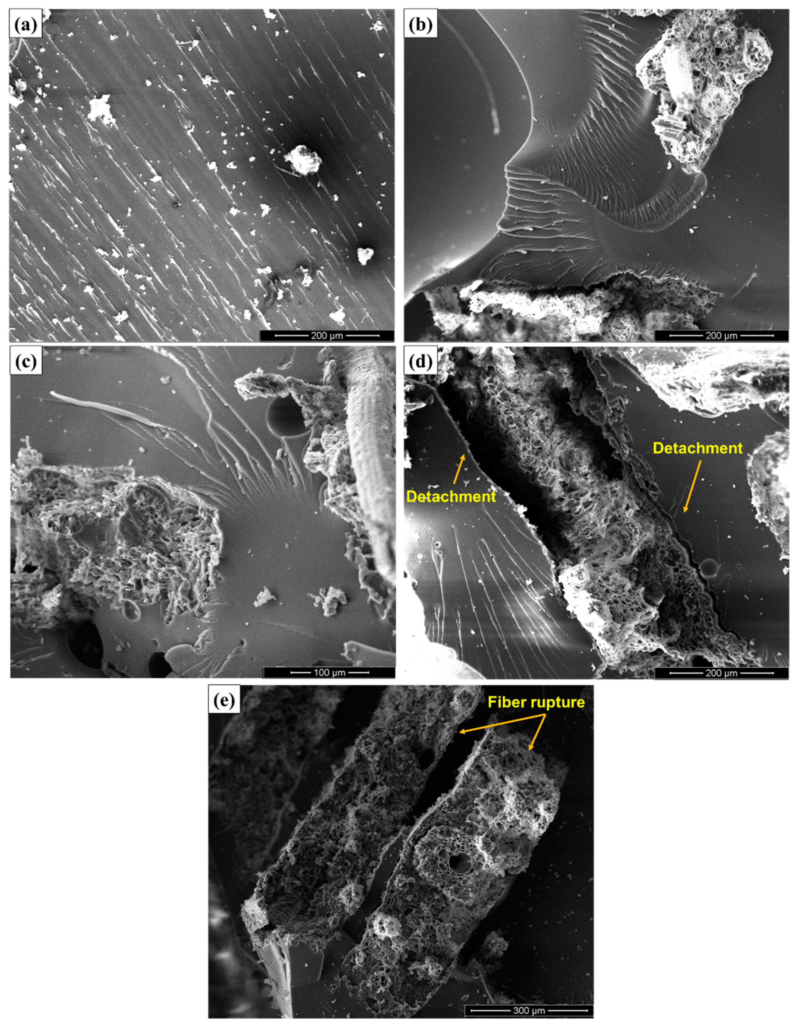 Polymers 12 02090 g011