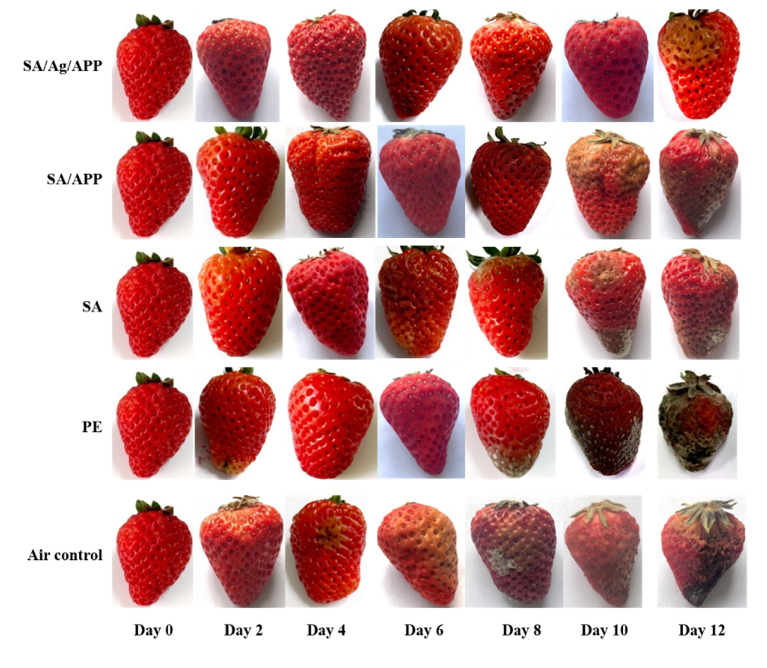 Polymers 12 02096 g007