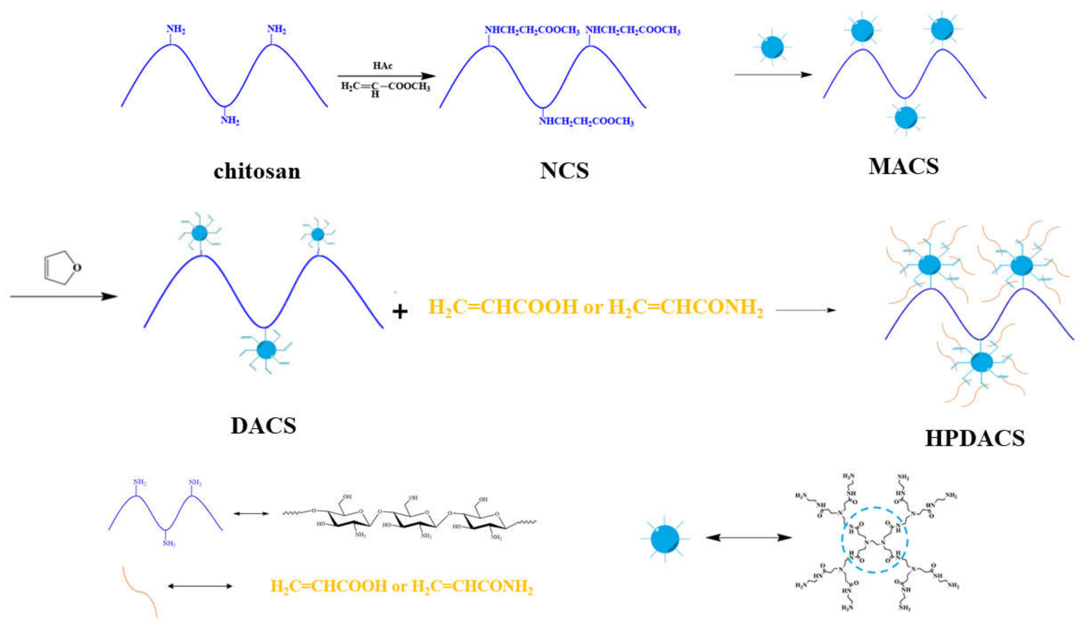 Polymers 12 02130 g002