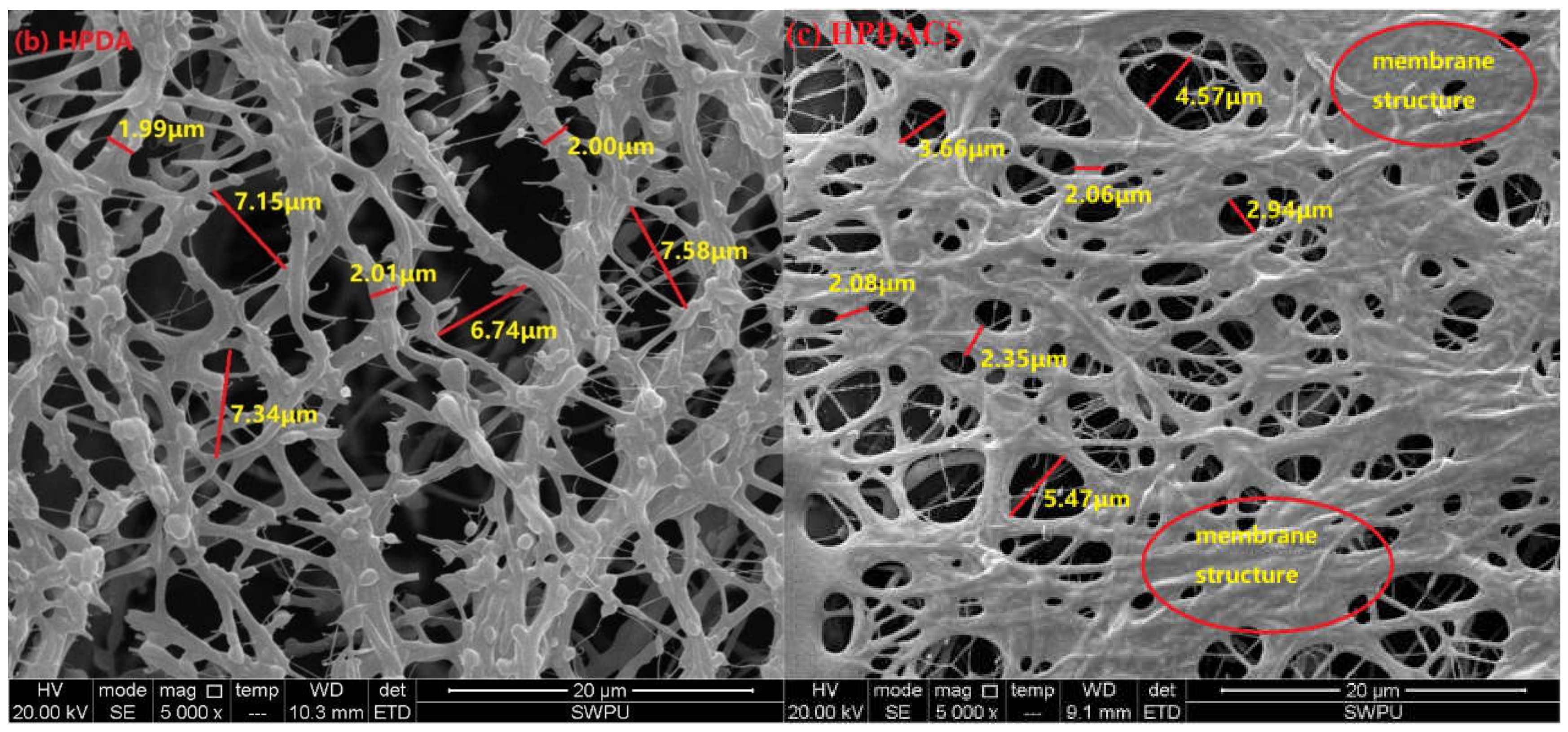 Polymers 12 02130 g010b