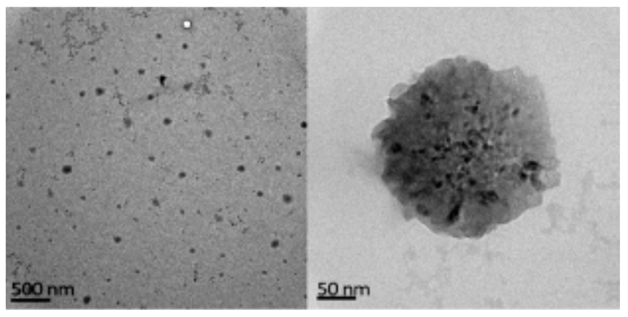 Polymers 12 02142 g013 Polymers 12 02142 g013