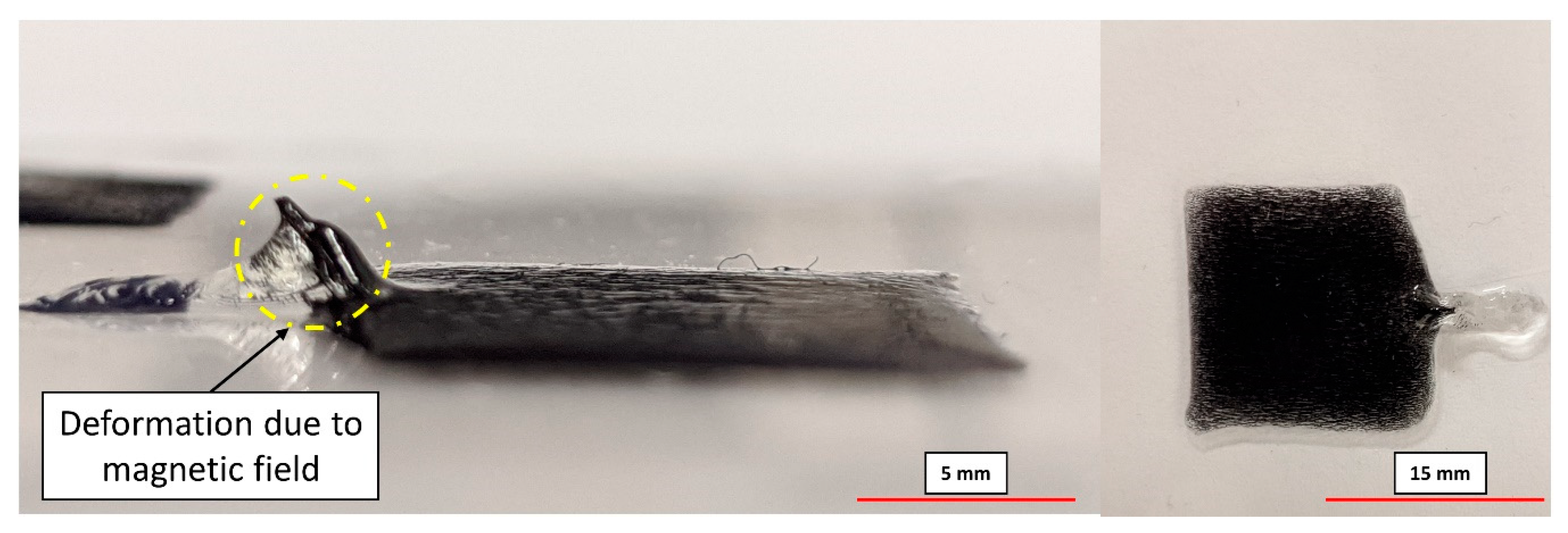 Polymers 12 02143 g012