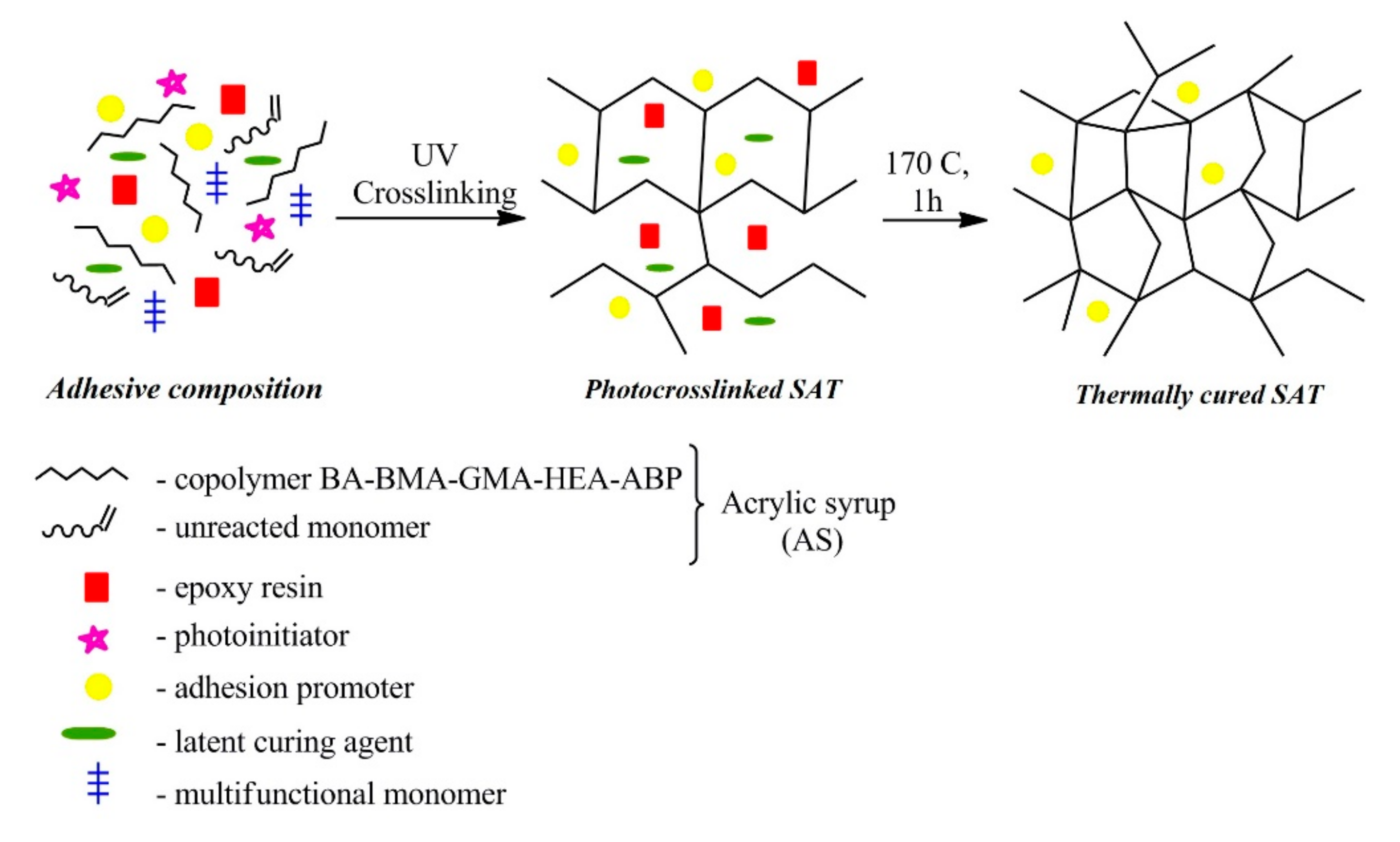 Polymers Free Full Text Free Radical Bulk Photopolymerization Process As A Method Of 4106