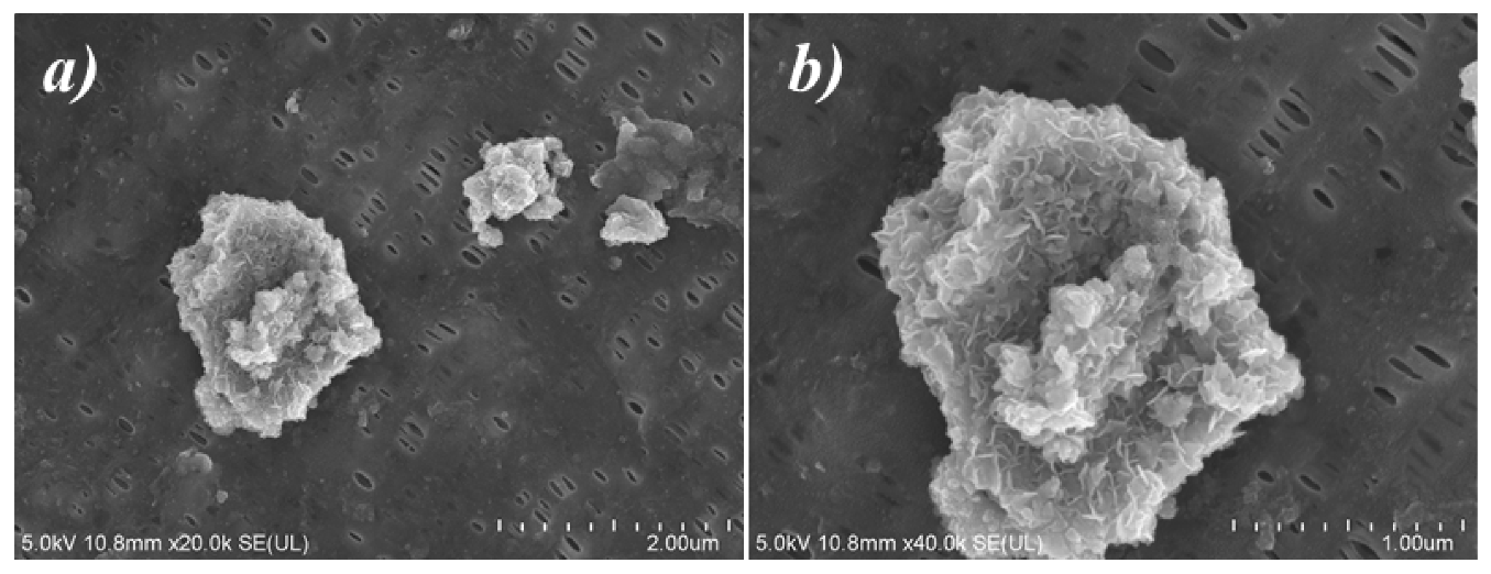 Polymers 12 02192 g006 Polymers 12 02192 g006