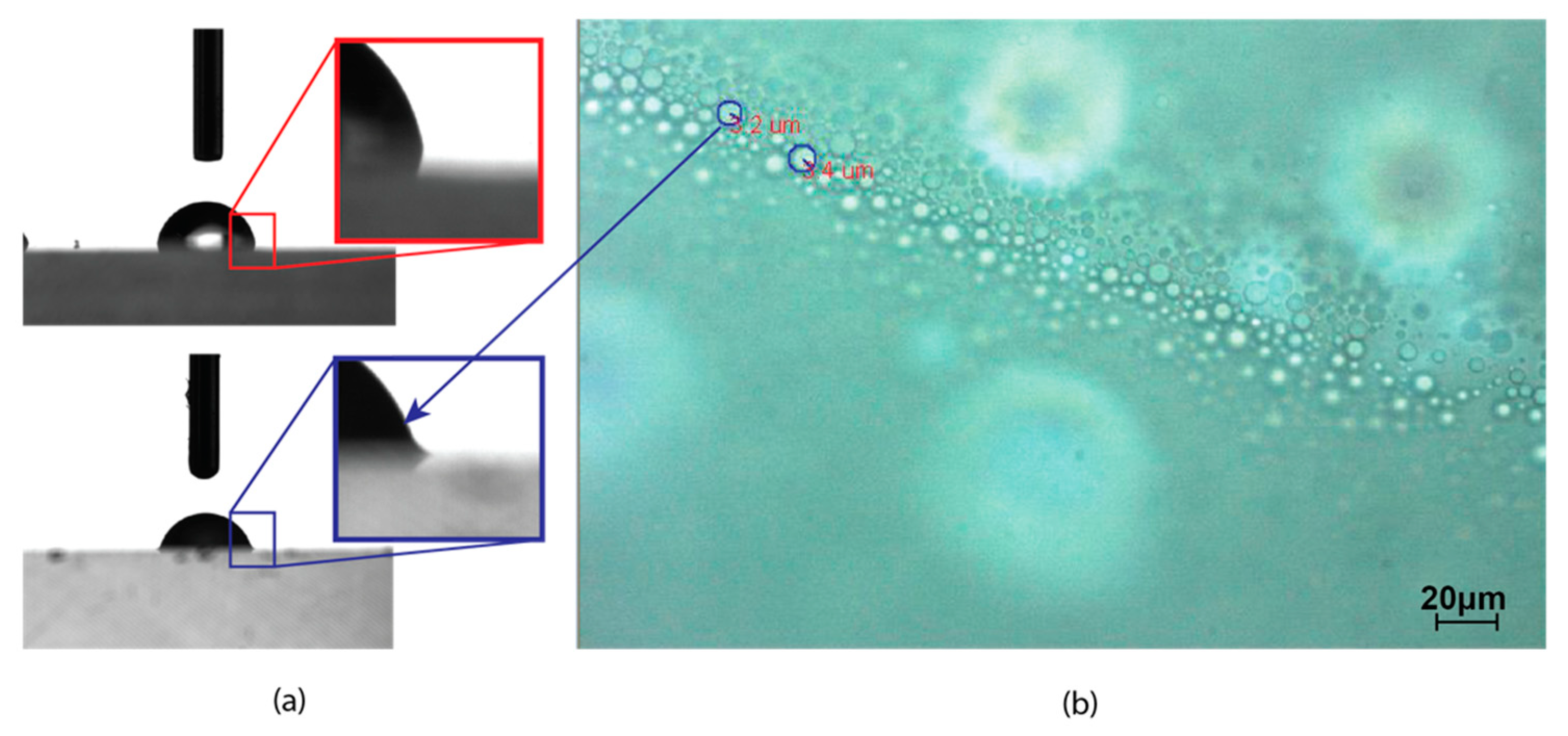 Polymers 12 02213 g001