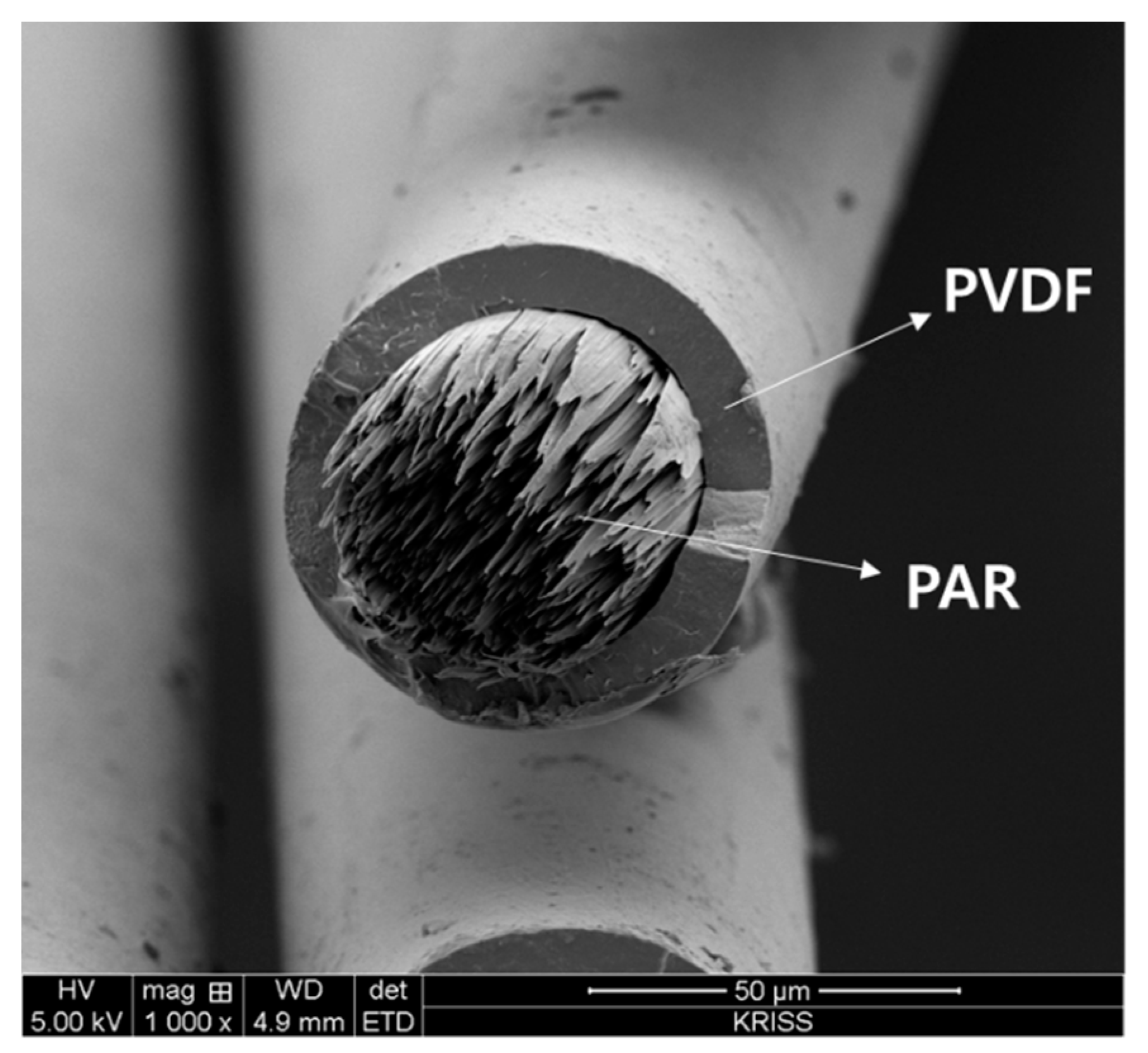Polymers 12 02214 g005