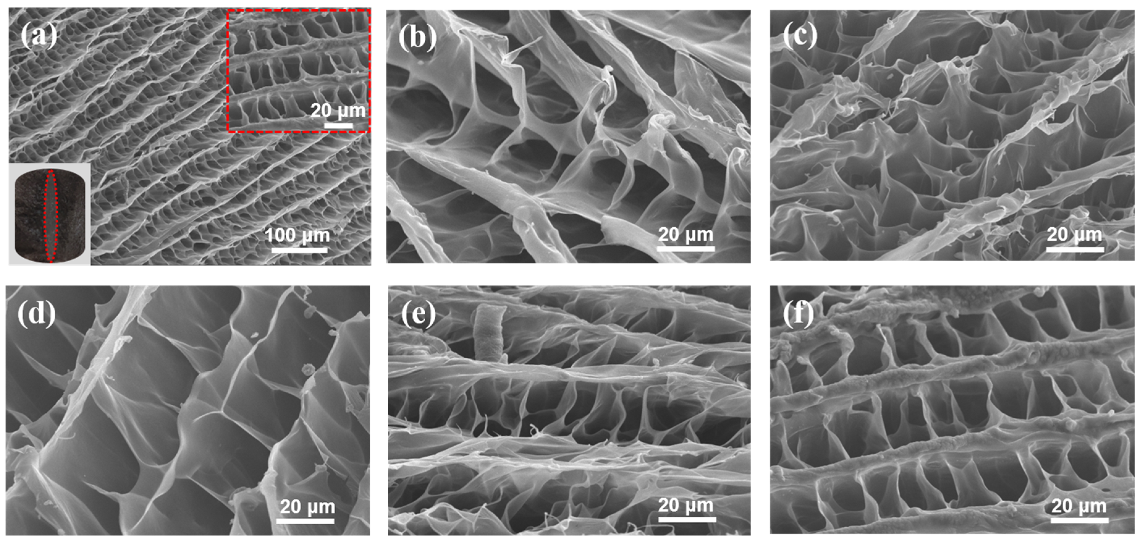 Polymers 12 02219 g002 Polymers 12 02219 g002