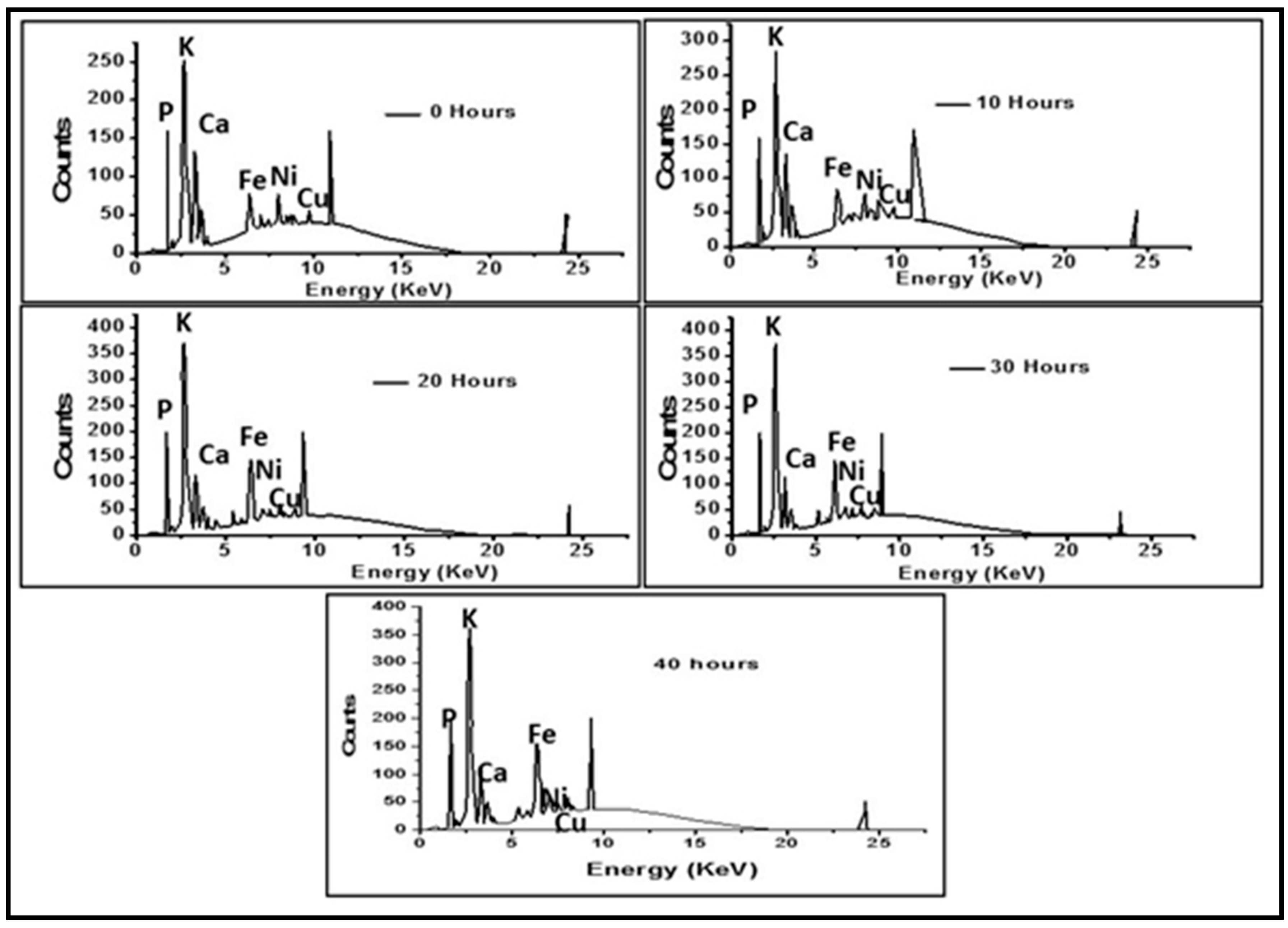 Polymers 12 02236 g002 Polymers 12 02236 g002