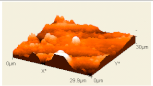 Polymers 12 02236 i002 Polymers 12 02236 i002