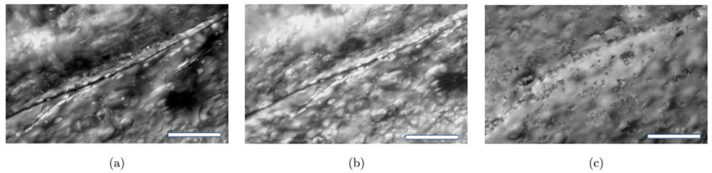 Polymers 12 02261 g004