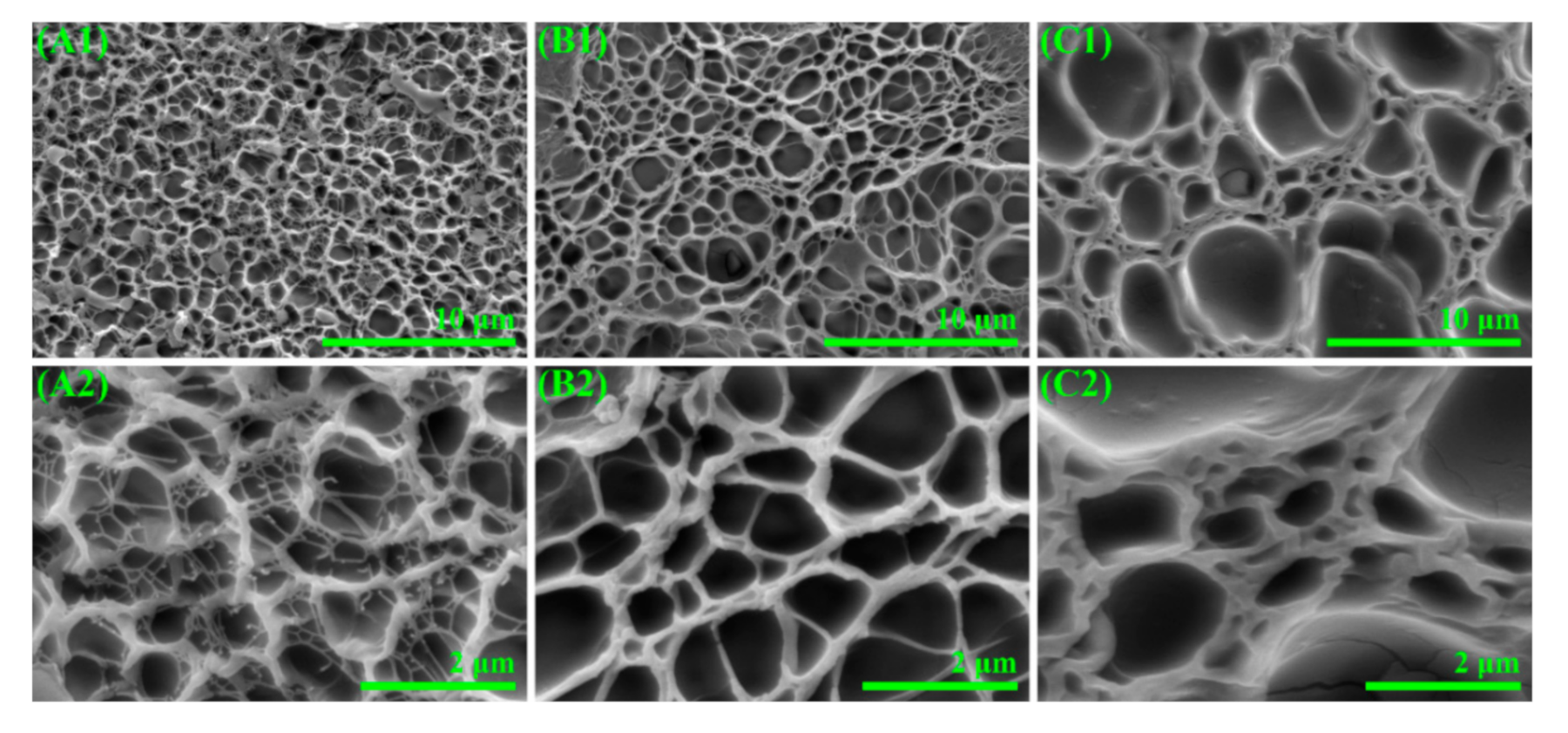 Polymers 12 02263 g002