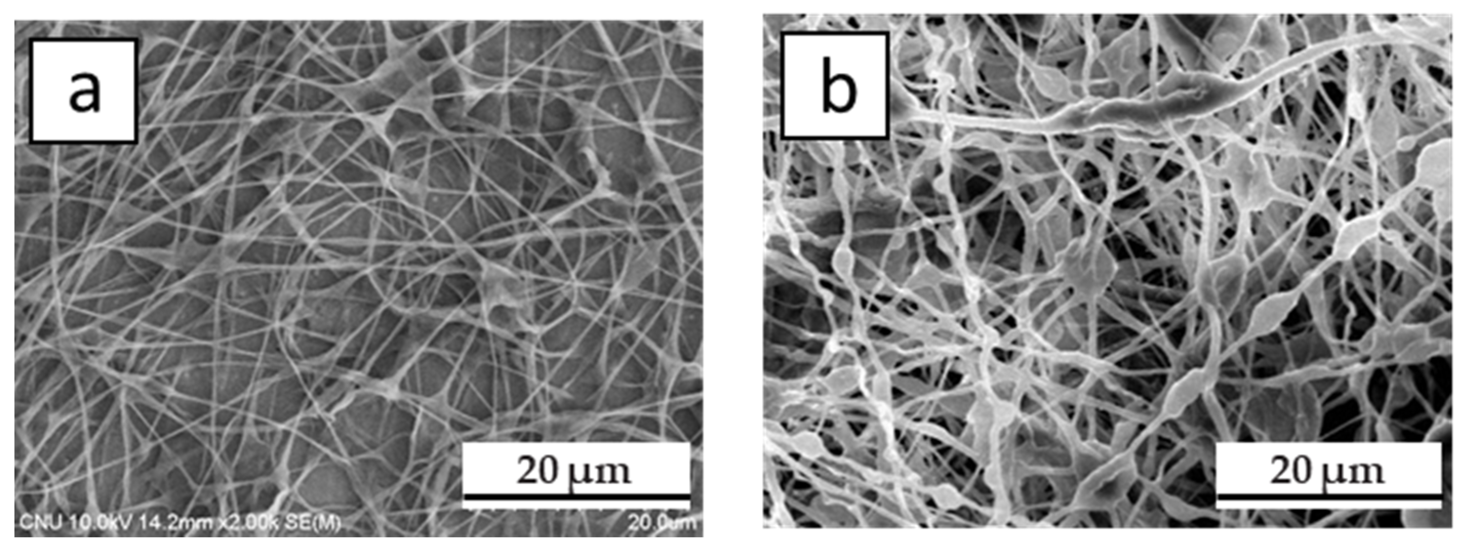 Polymers 12 02267 g003 Polymers 12 02267 g003