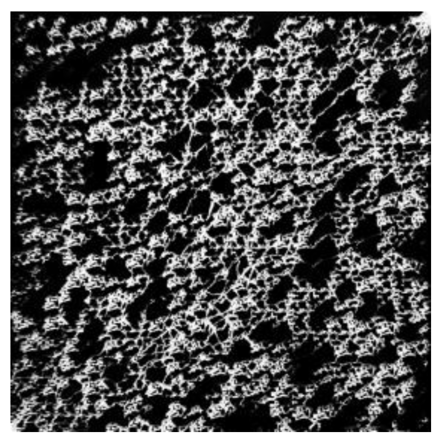Polymers 12 02276 g013 Polymers 12 02276 g013