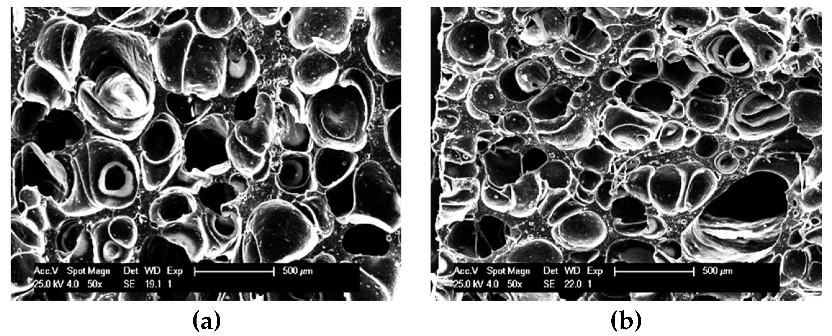Polymers 12 02278 g002a Polymers 12 02278 g002a