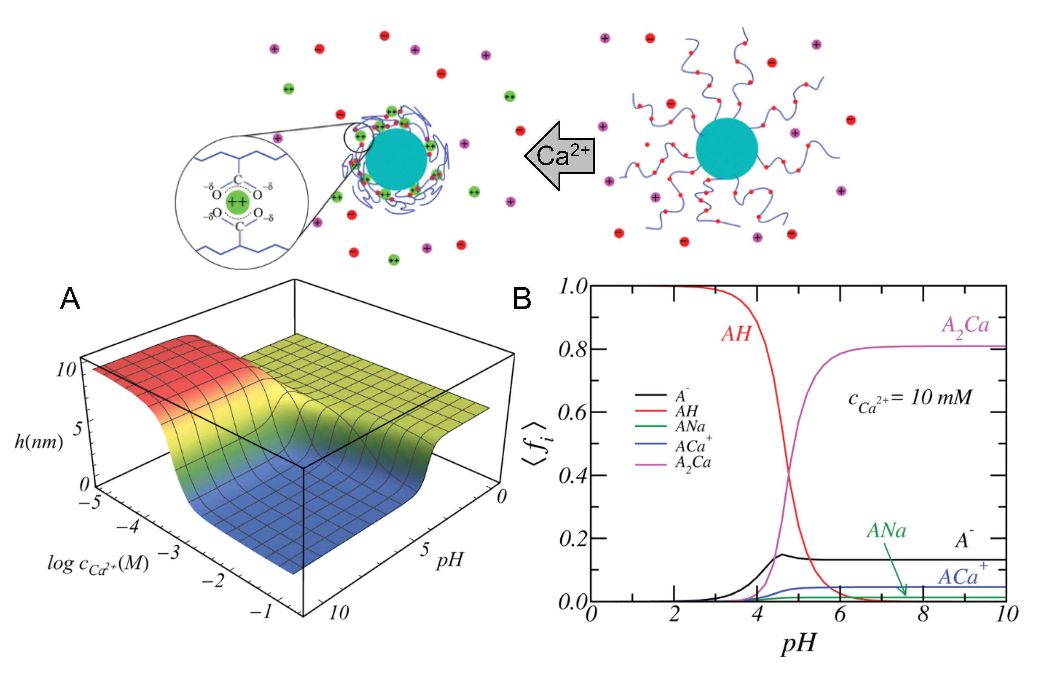 Polymers 12 02282 g007 Polymers 12 02282 g007