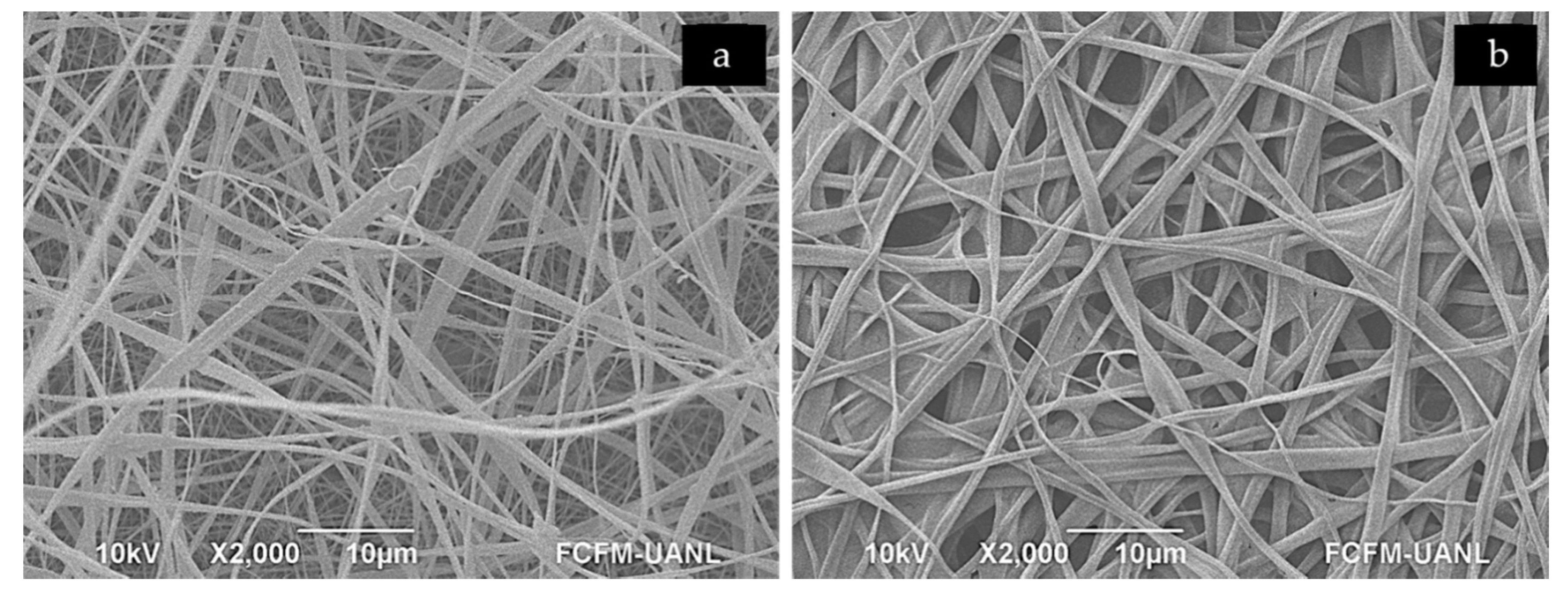 Polymers 12 02311 g004