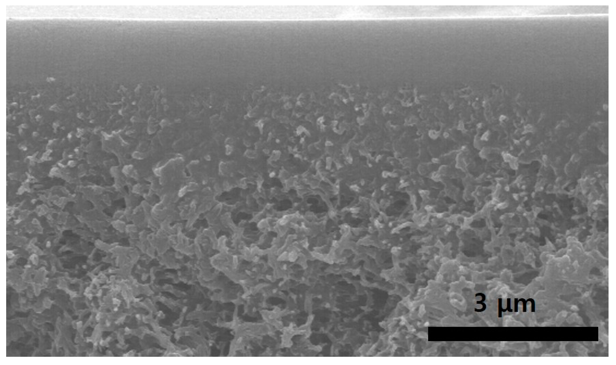 Polymers 12 02316 g001 Polymers 12 02316 g001
