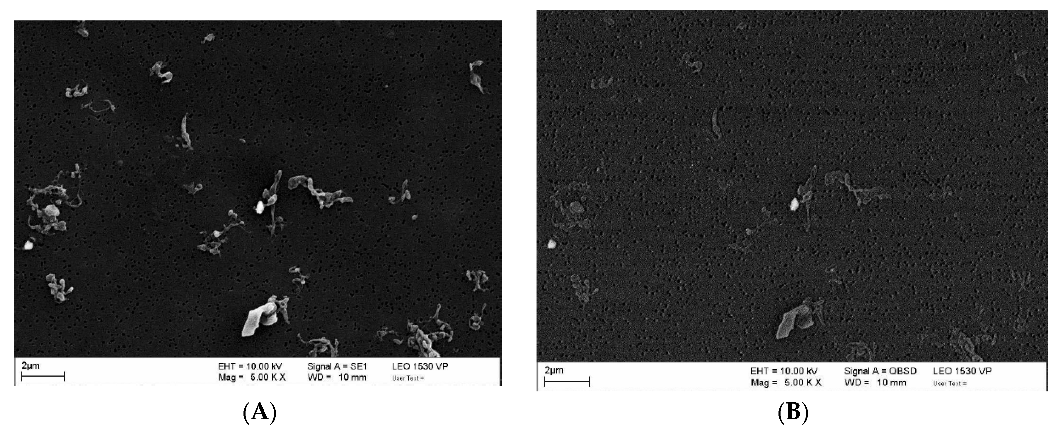 Polymers 12 02334 g010 Polymers 12 02334 g010