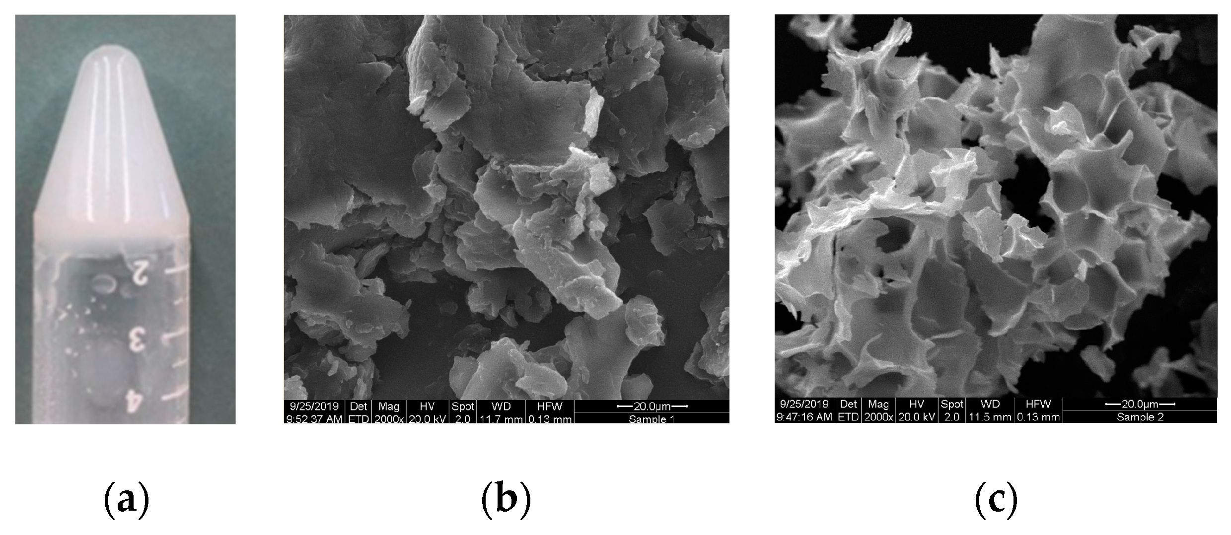 Polymers 12 02372 g002
