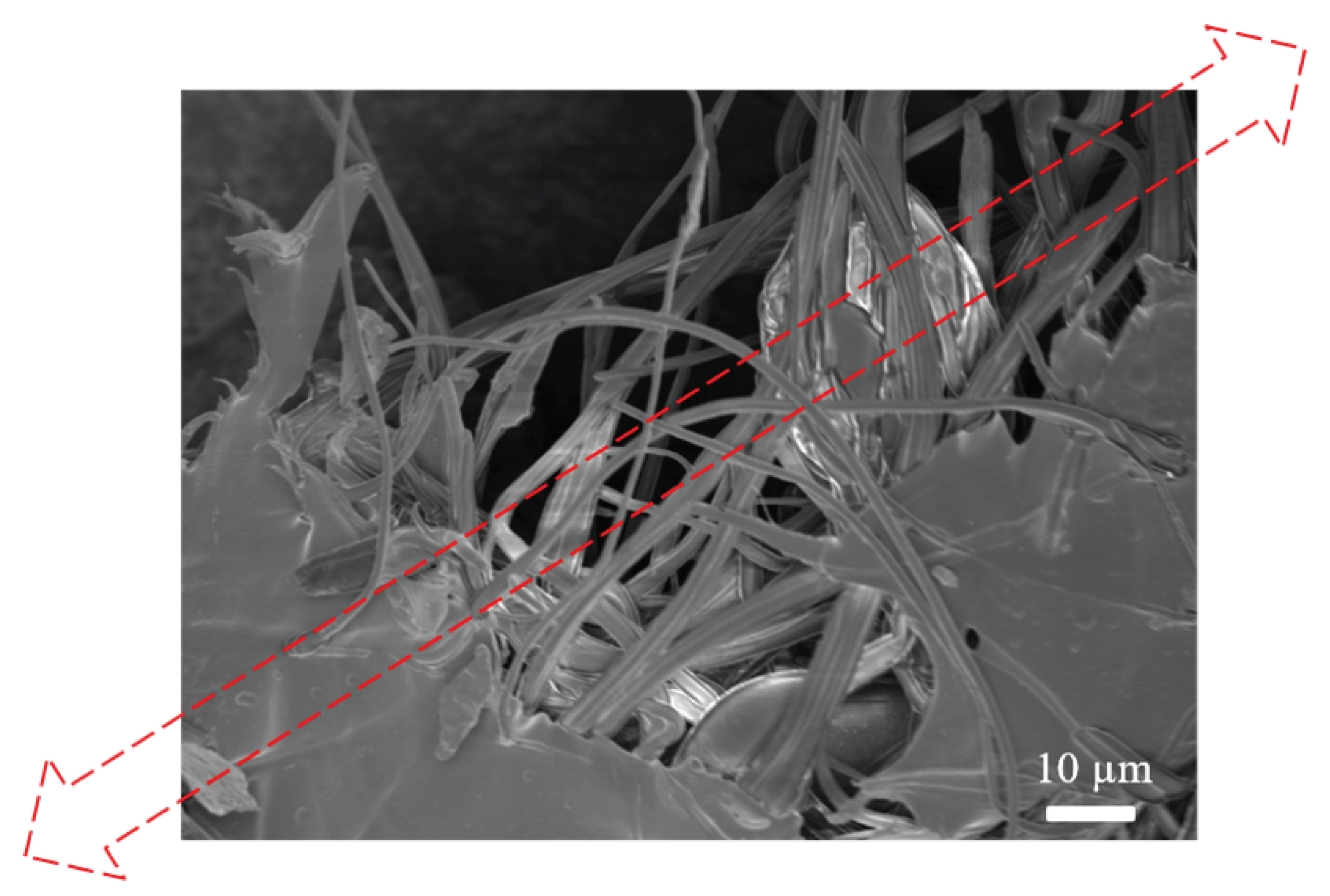 Polymers 12 02376 g007 Polymers 12 02376 g007