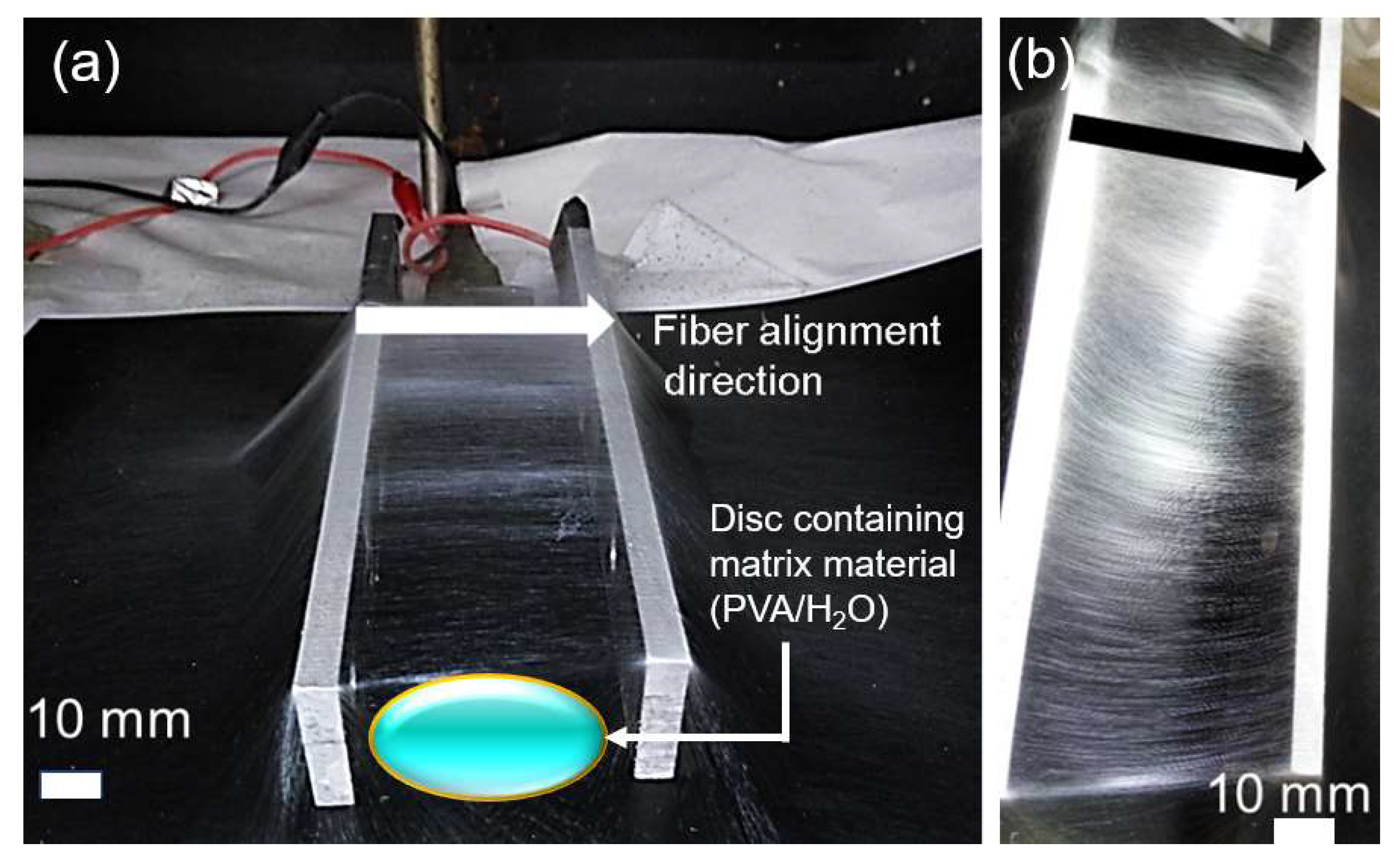Polymers 12 02376 g0a1 Polymers 12 02376 g0a1