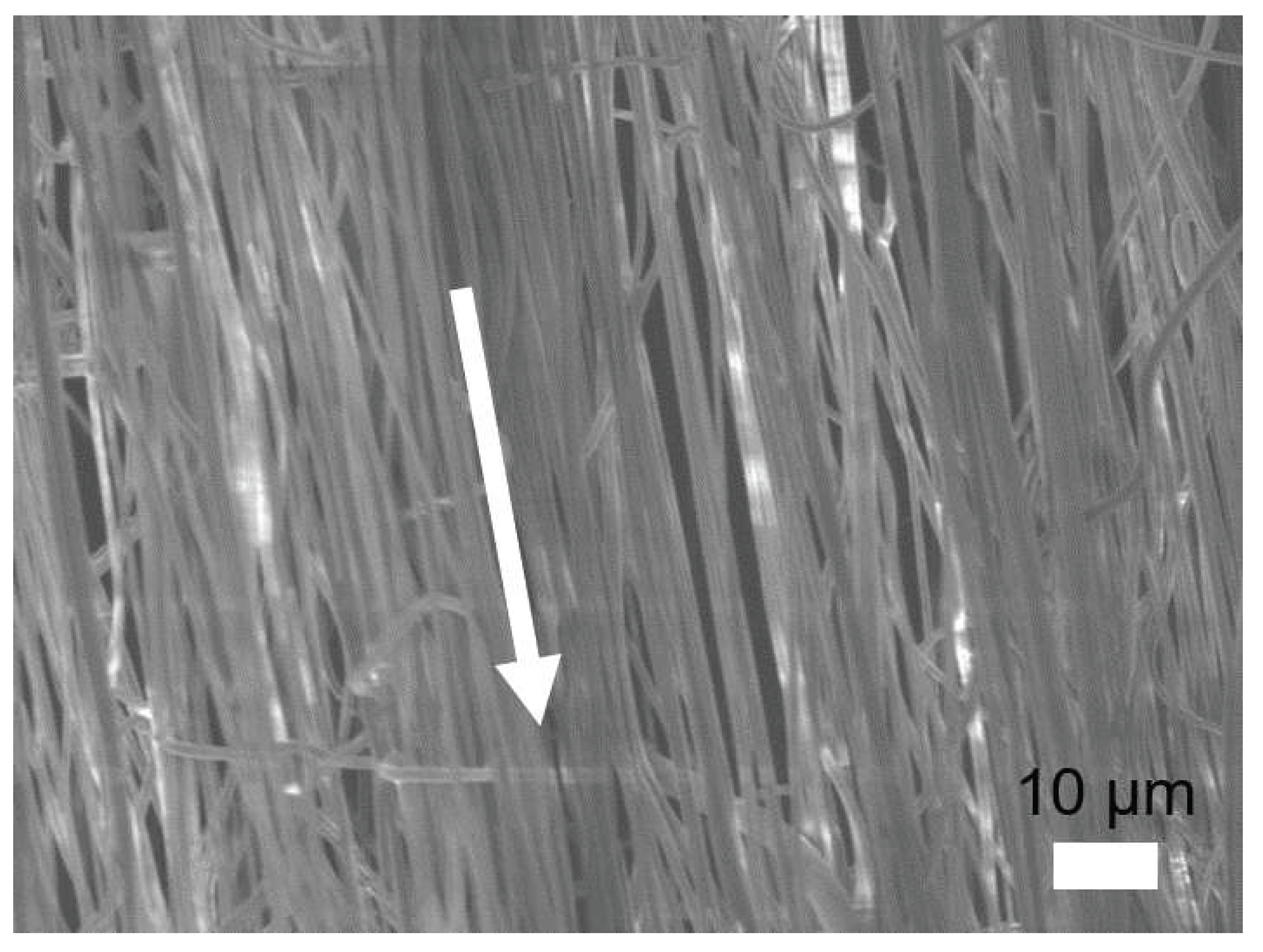 Polymers 12 02376 g0a6 Polymers 12 02376 g0a6