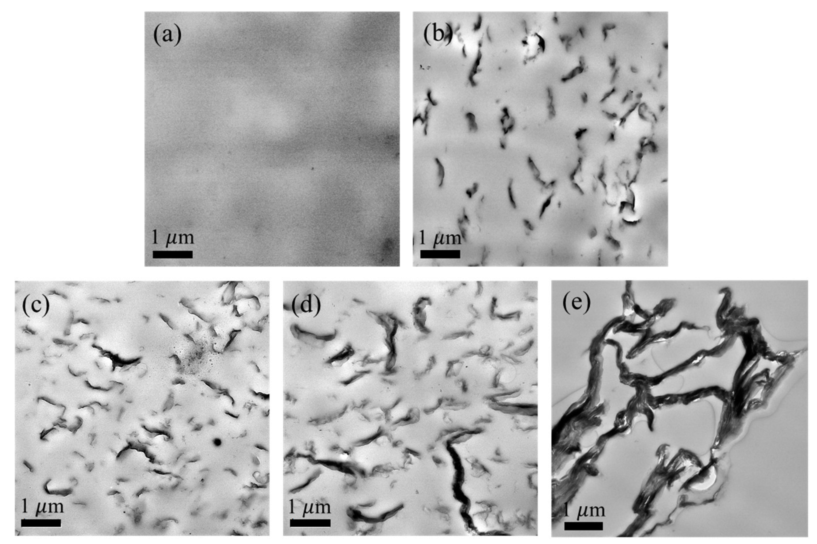 Polymers 12 02402 g003 Polymers 12 02402 g003