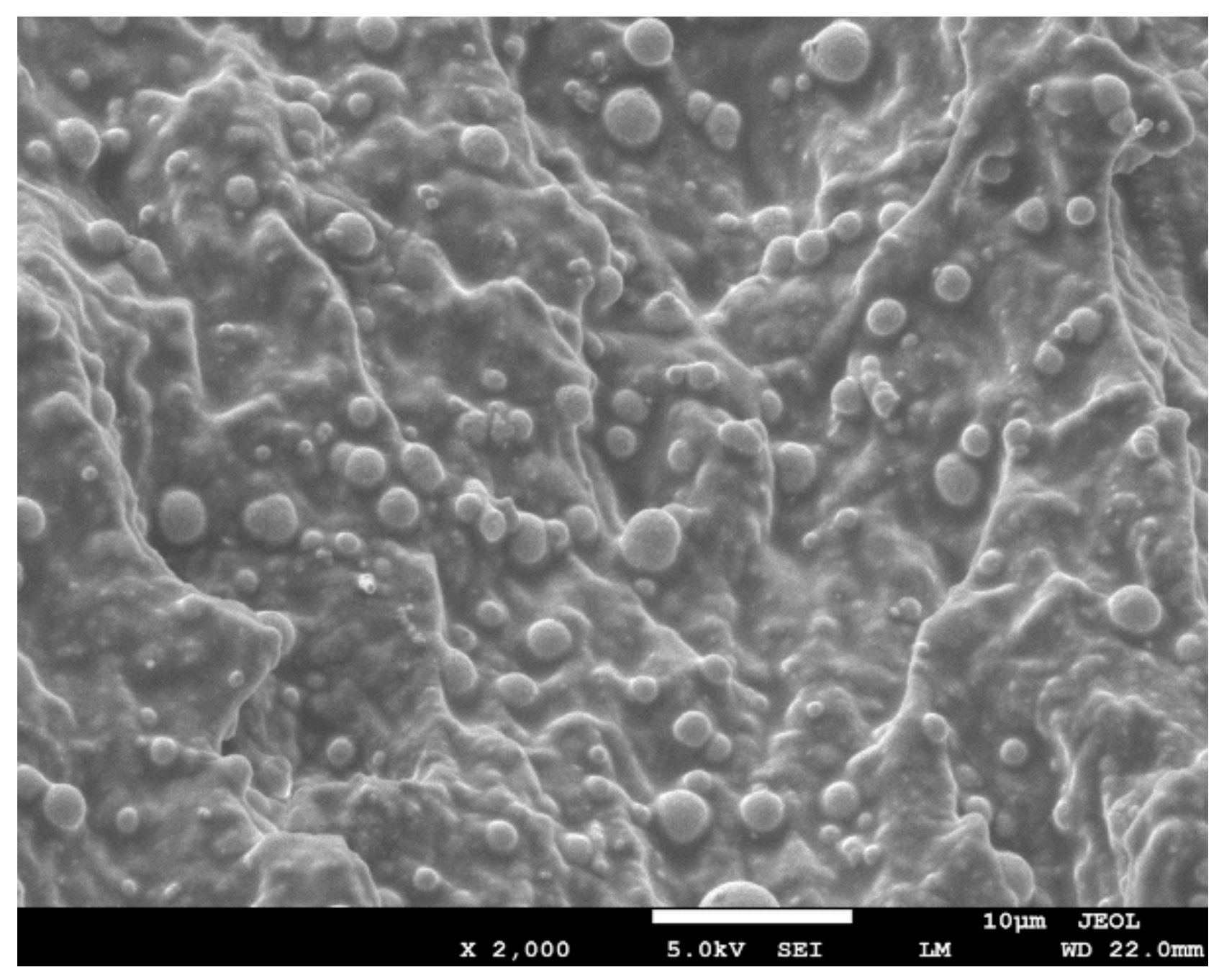 Polymers 12 02435 g002