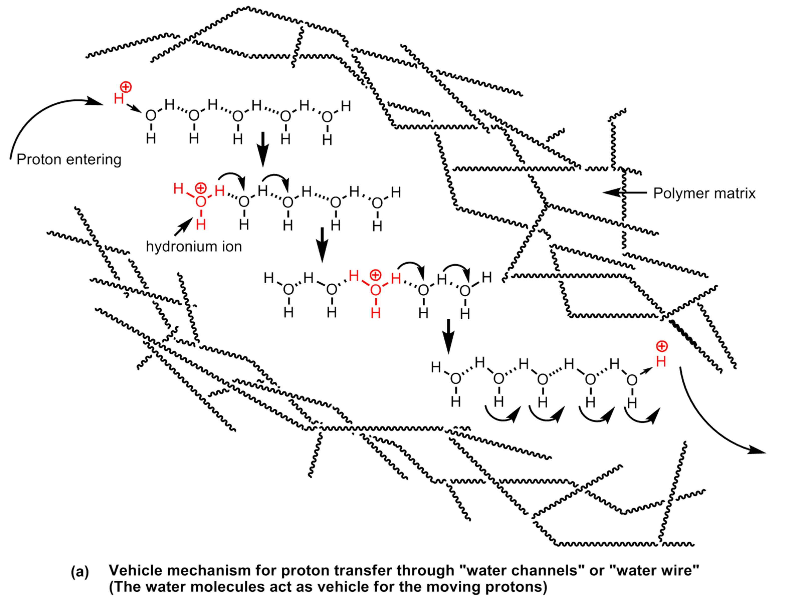 Polymers | Free Full-Text | Recent Progress In Conducting Polymers For ...