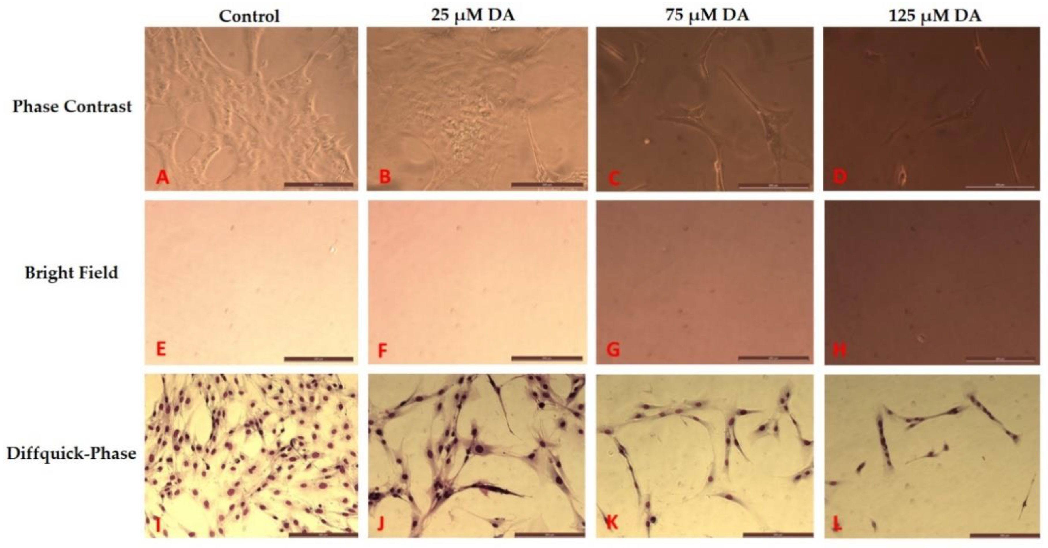 Polymers 12 02483 g007