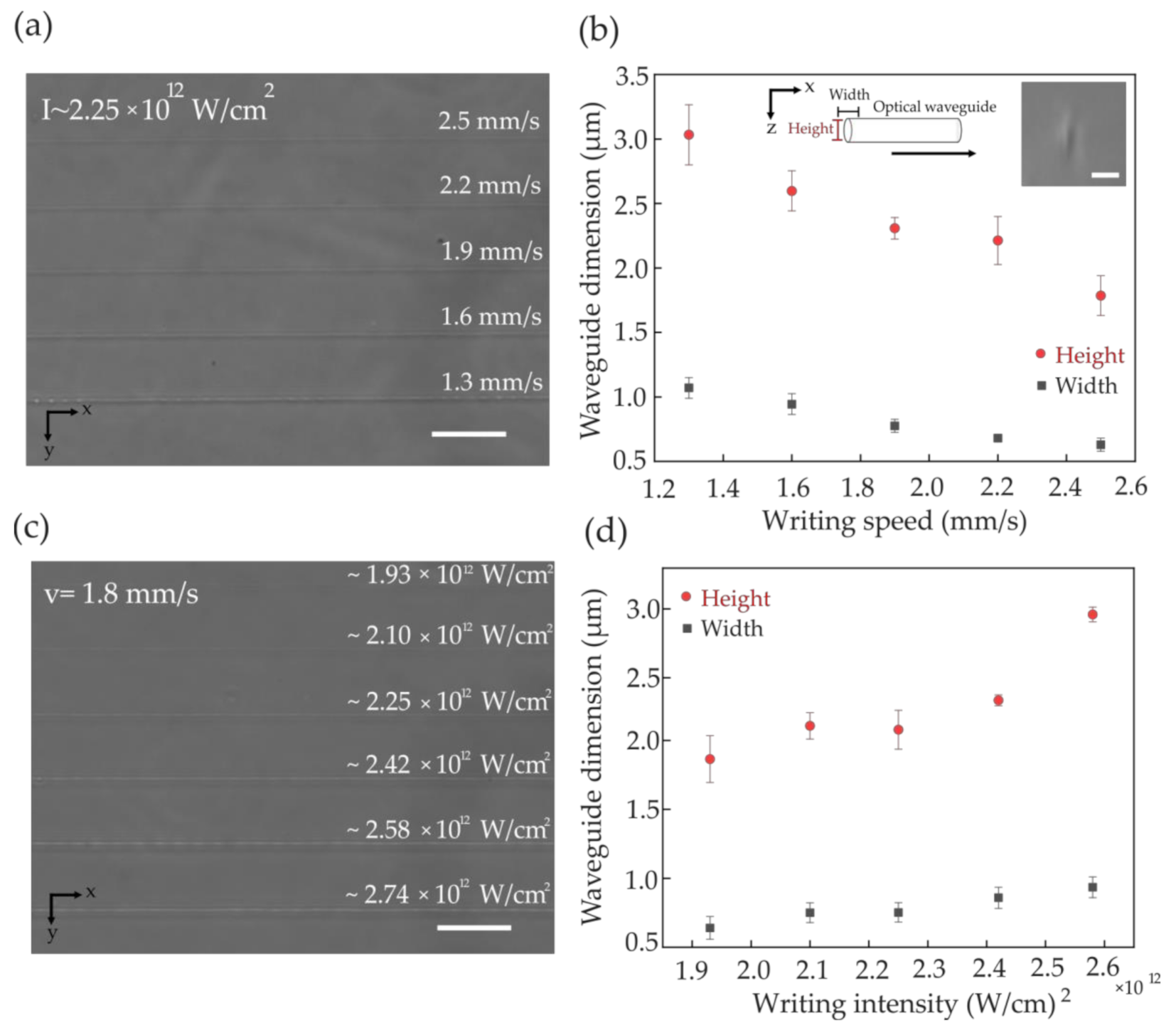 Polymers 12 02485 g003