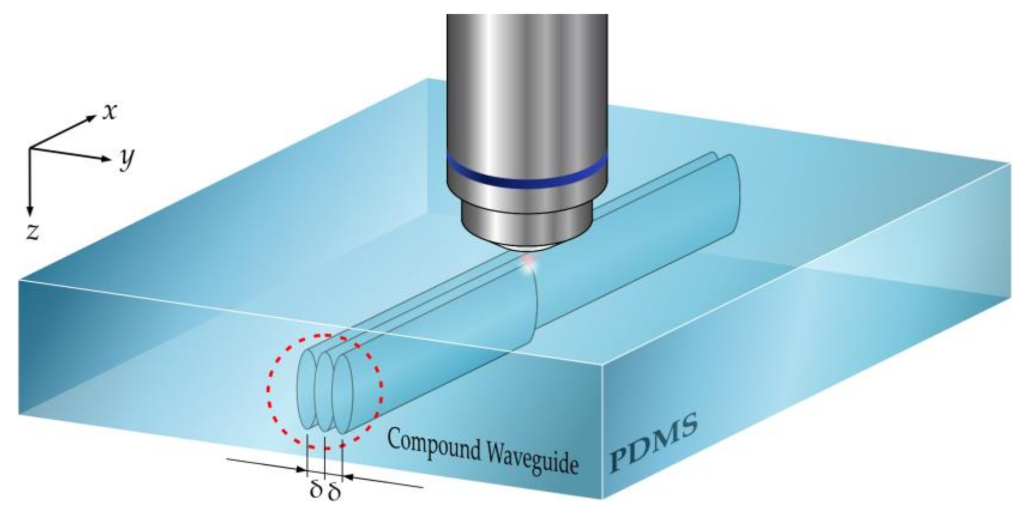 Polymers 12 02485 g005