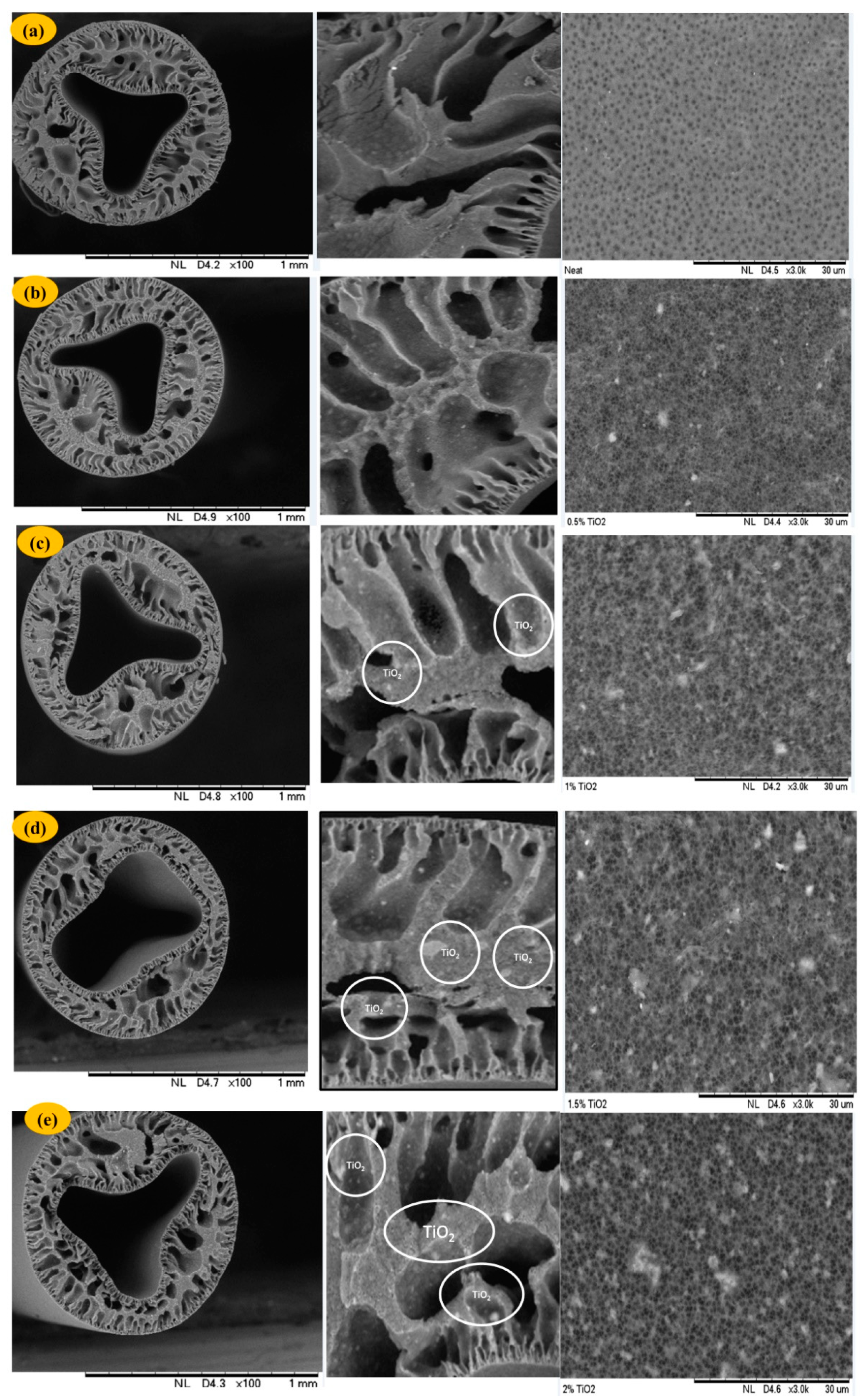 Polymers 12 02511 g001