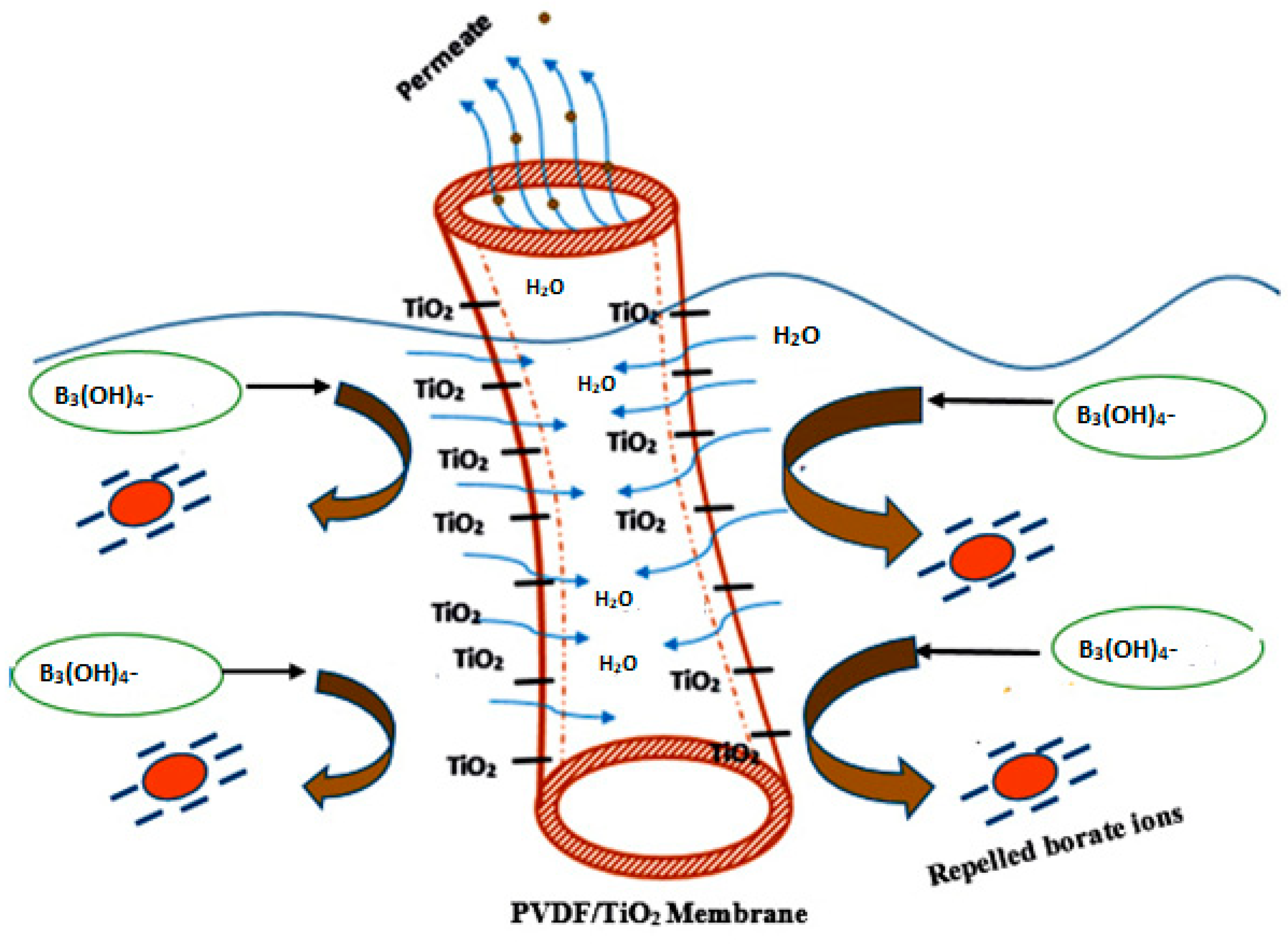 Polymers 12 02511 g007
