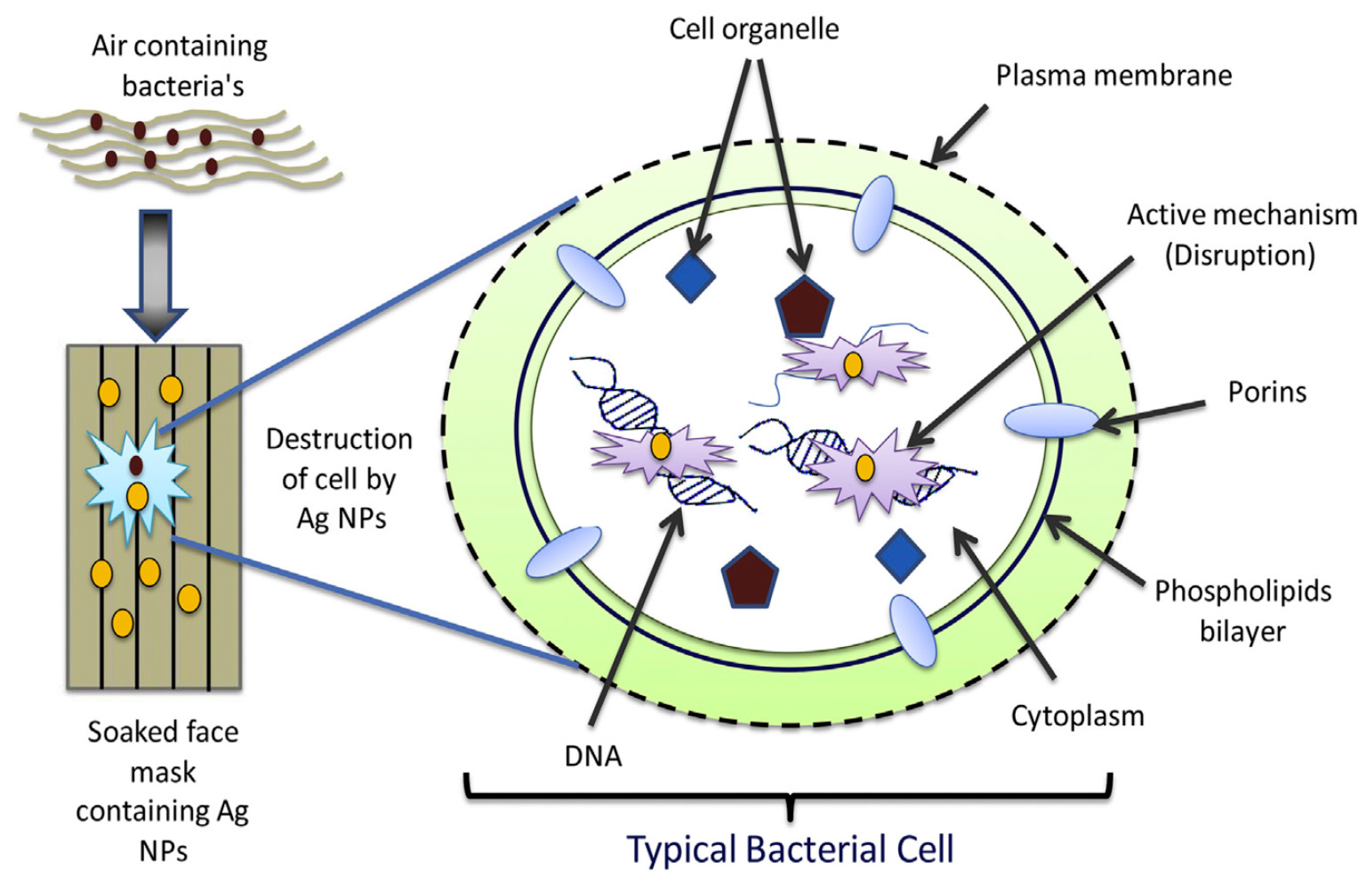 Polymers Free Full Text Facile Approaches Of Polymeric Face Masks Reuse And Reinforcements For Micro Aerosol Droplets And Viruses Filtration A Review Html