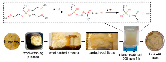 Polymers Free Full Text Silane Functionalized Sheep Wool Fibers From Dairy Industry Waste For The Development Of Plasticized Pla Composites With Maleinized Linseed Oil For Injection Molded Parts Html