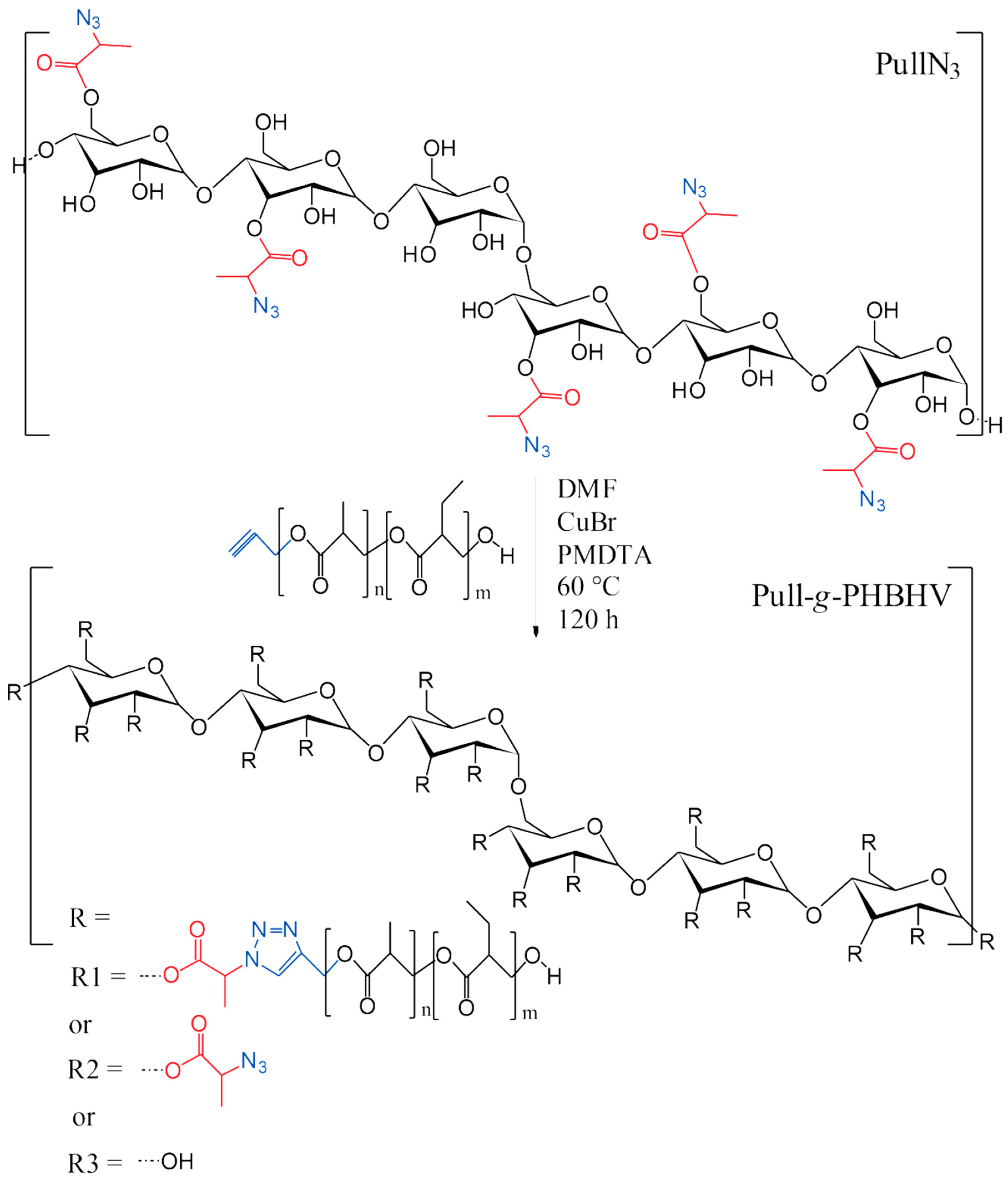 Polymers Free Full Text Chemical Modification Of Pullulan Exopolysaccharide By Grafting Poly 3 Hydroxybutyrate Co 3 Hydroxyvalerate Phbhv Via Click Chemistry Html