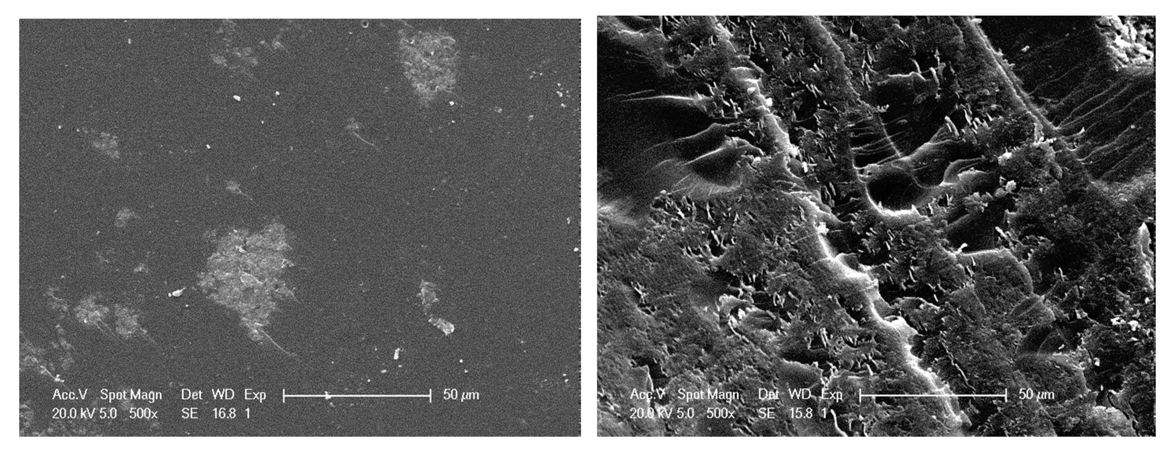 Polymers 12 02530 g012 Polymers 12 02530 g012