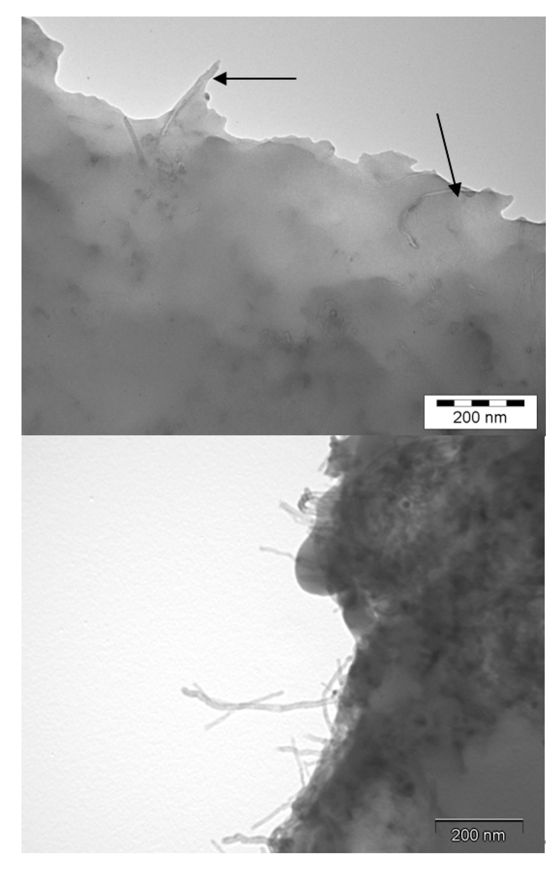 Polymers 12 02530 g013 Polymers 12 02530 g013