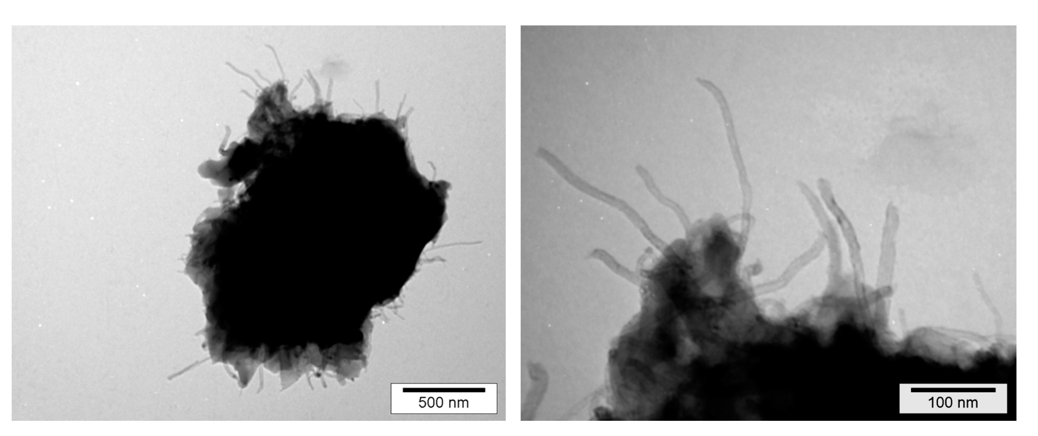 Polymers 12 02530 g018 Polymers 12 02530 g018