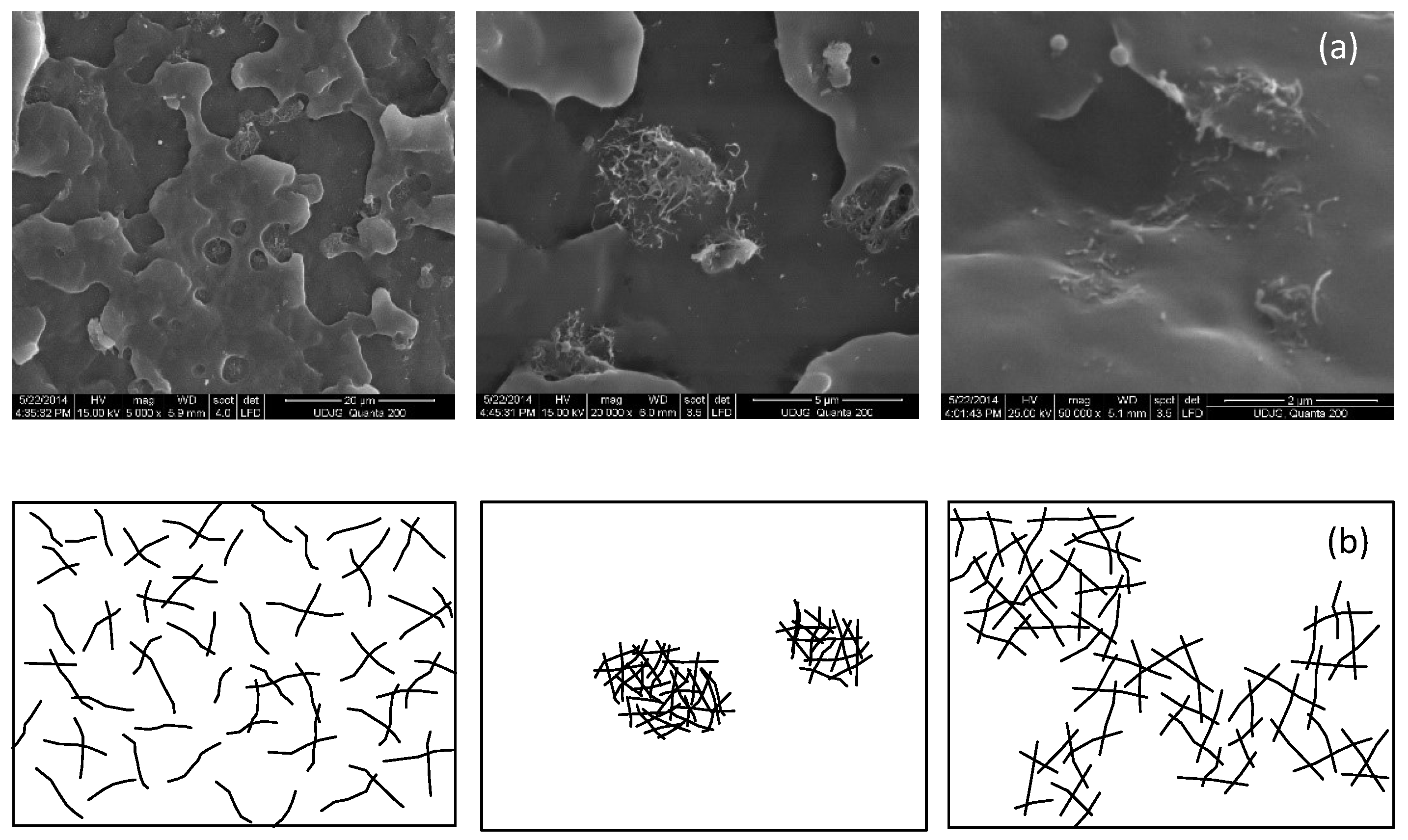 Polymers 12 02535 g002 Polymers 12 02535 g002