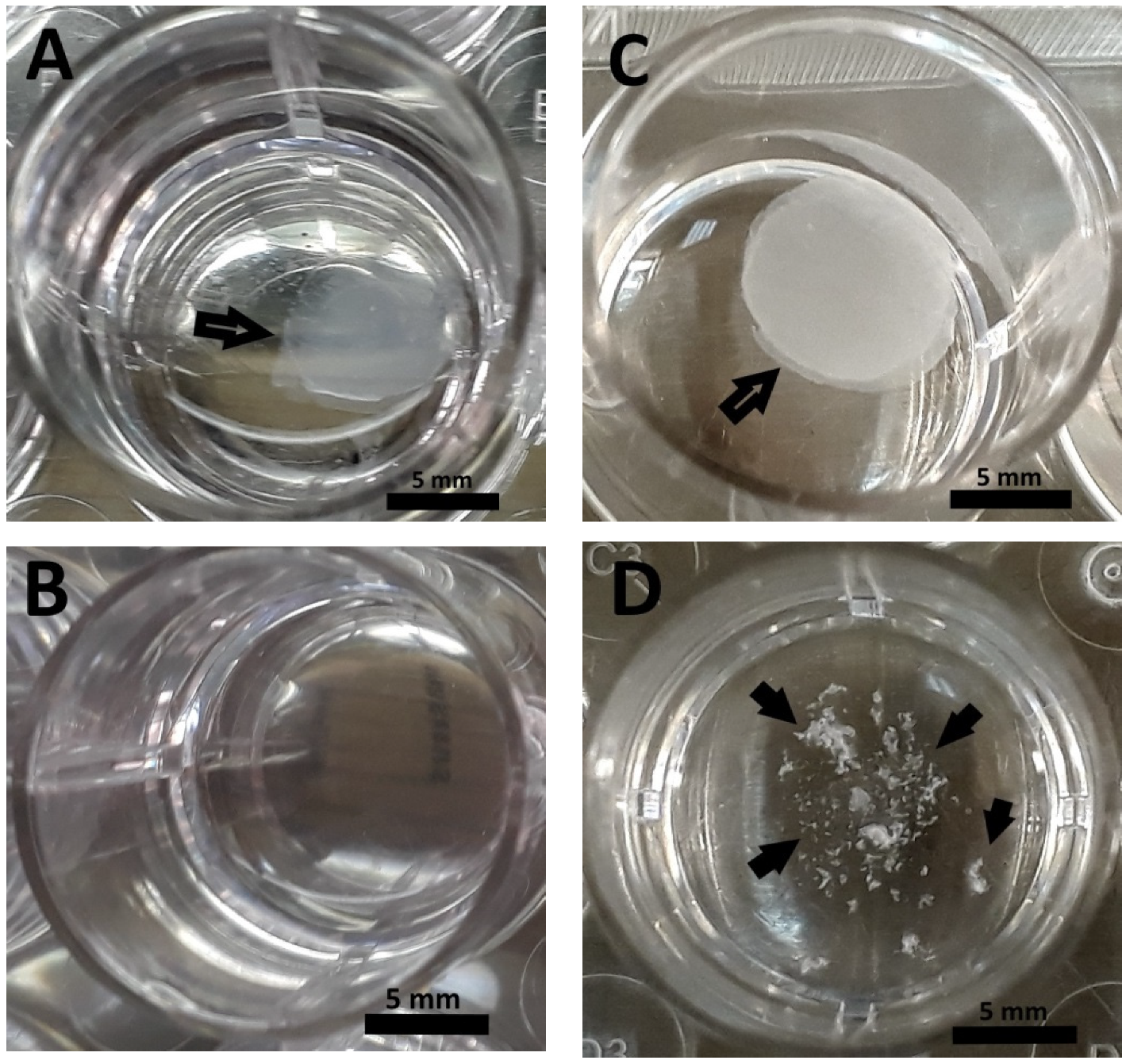 Polymers 12 02550 g007 Polymers 12 02550 g007