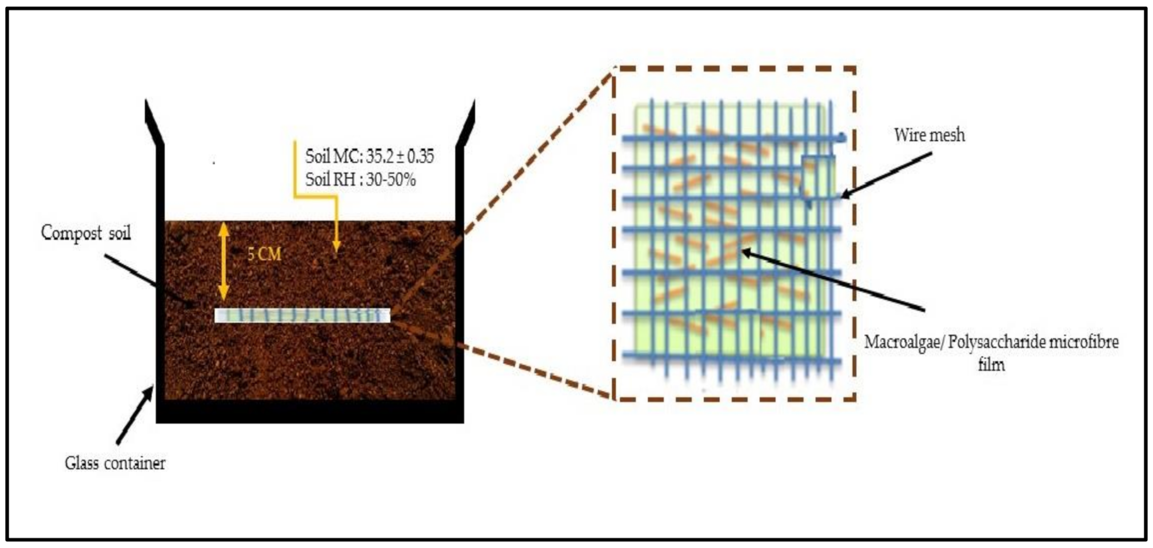 Polymers Free Full Text Properties Of Macroalgae Biopolymer Films Reinforcement With Polysaccharide Microfibre Html