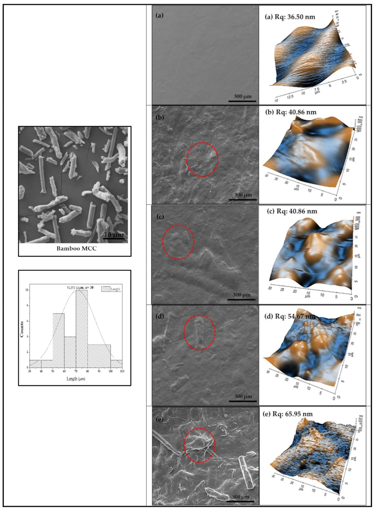 Polymers 12 02554 g002