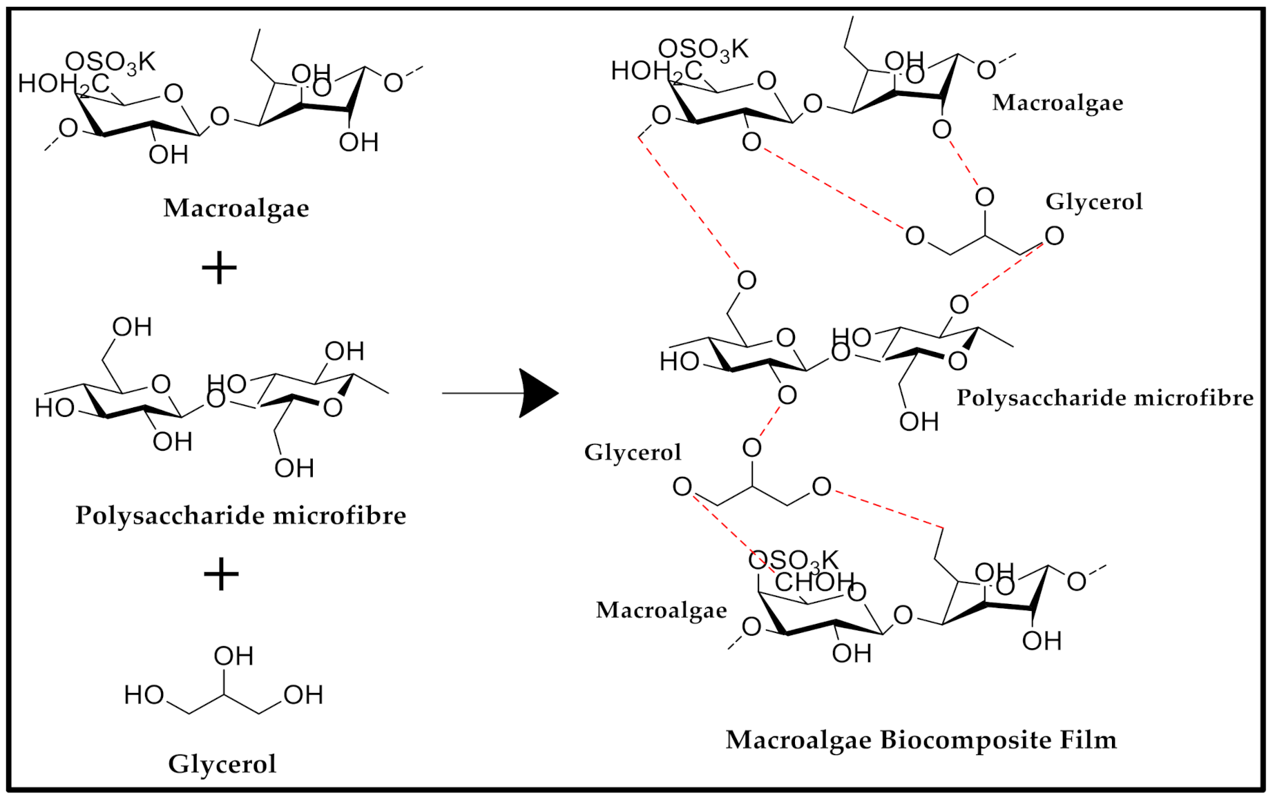 Polymers 12 02554 g004