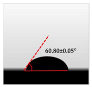 Polymers 12 02554 i006