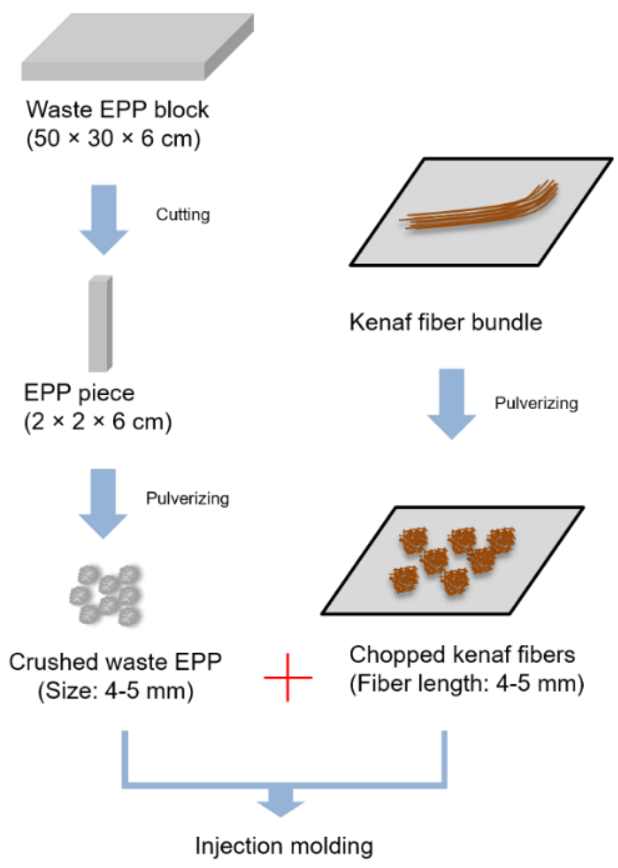 Polymers 12 02578 g001